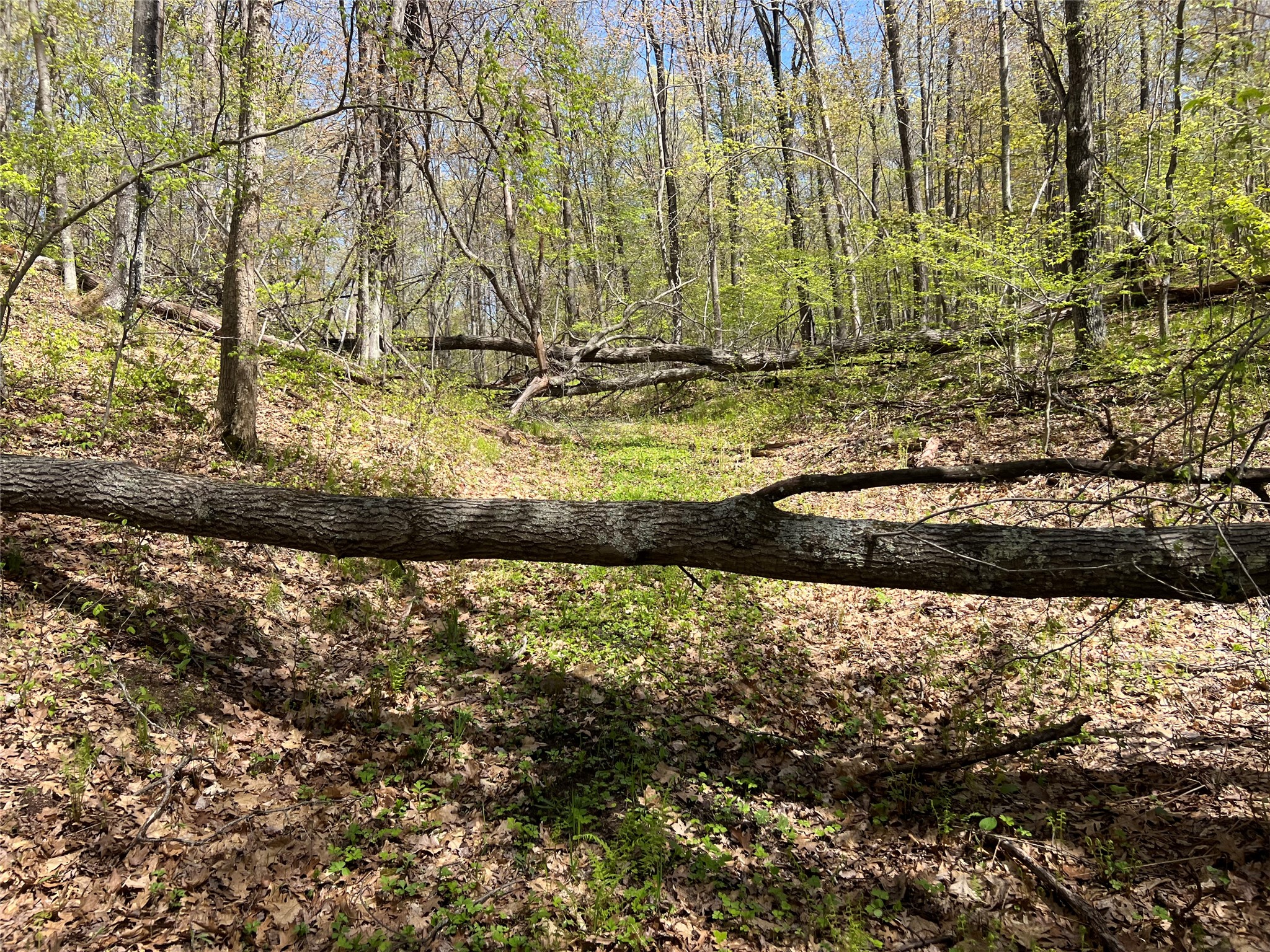 W6474 River Road Property Photo 11