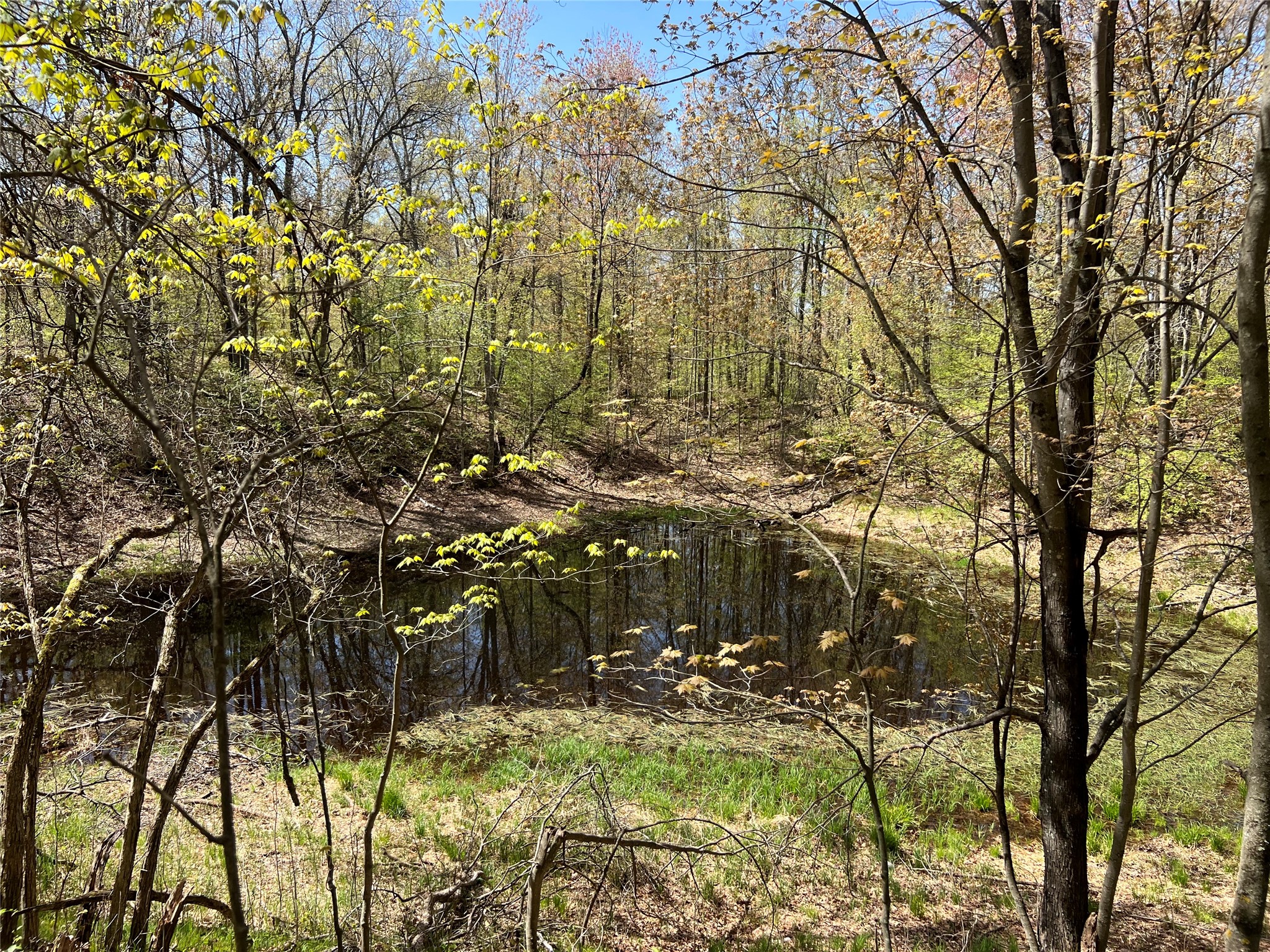 W6474 River Road Property Photo 12
