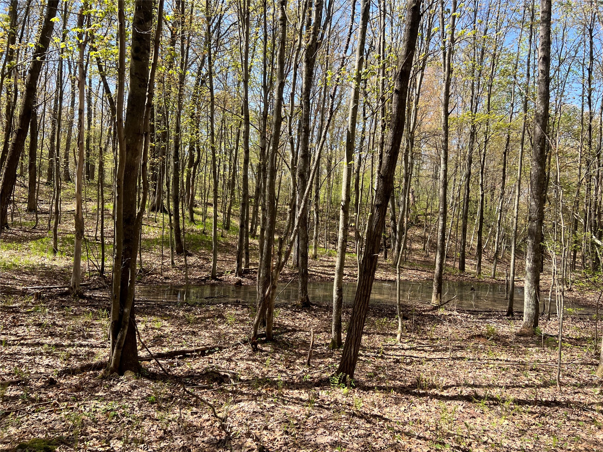 W6474 River Road Property Photo 13