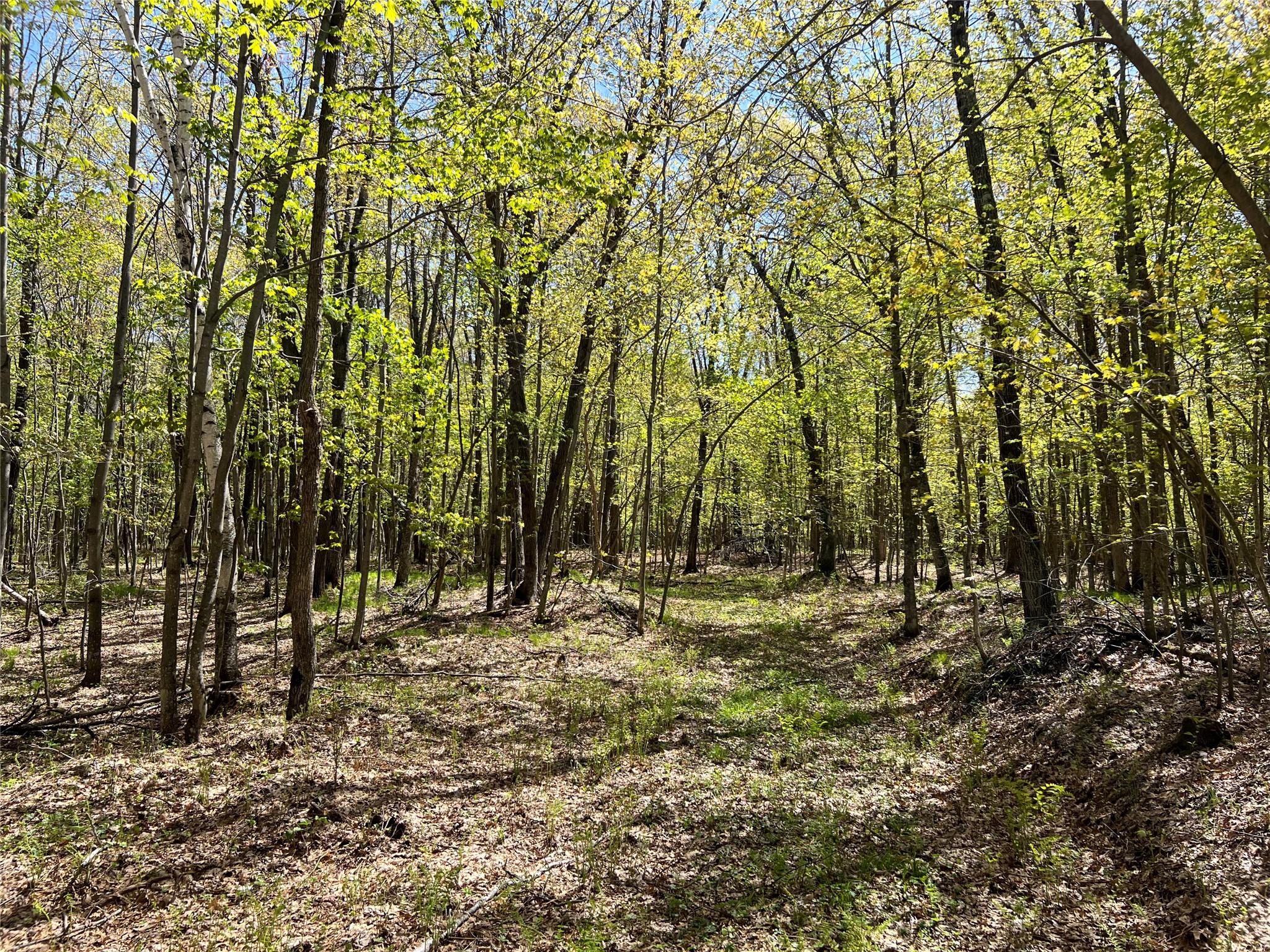 W6474 River Road Property Photo 15
