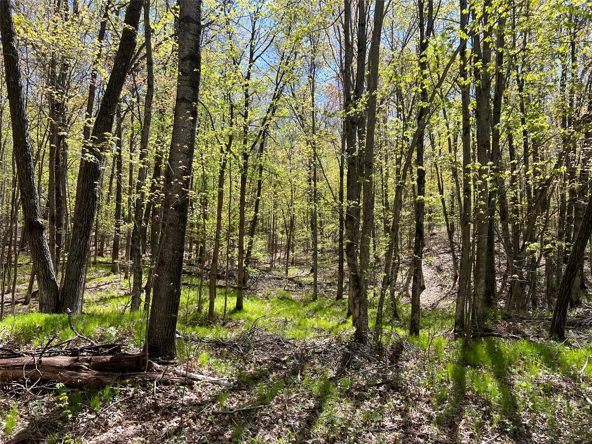 W6474 River Road Property Photo 16