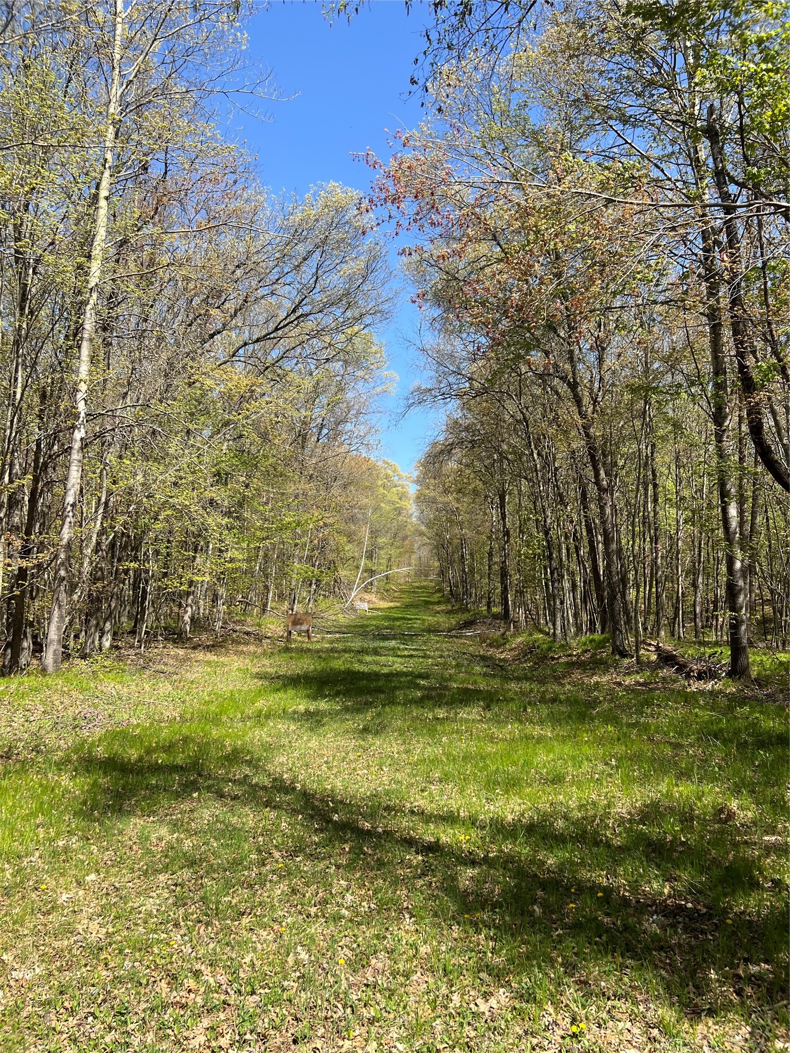 W6474 River Road Property Photo 17