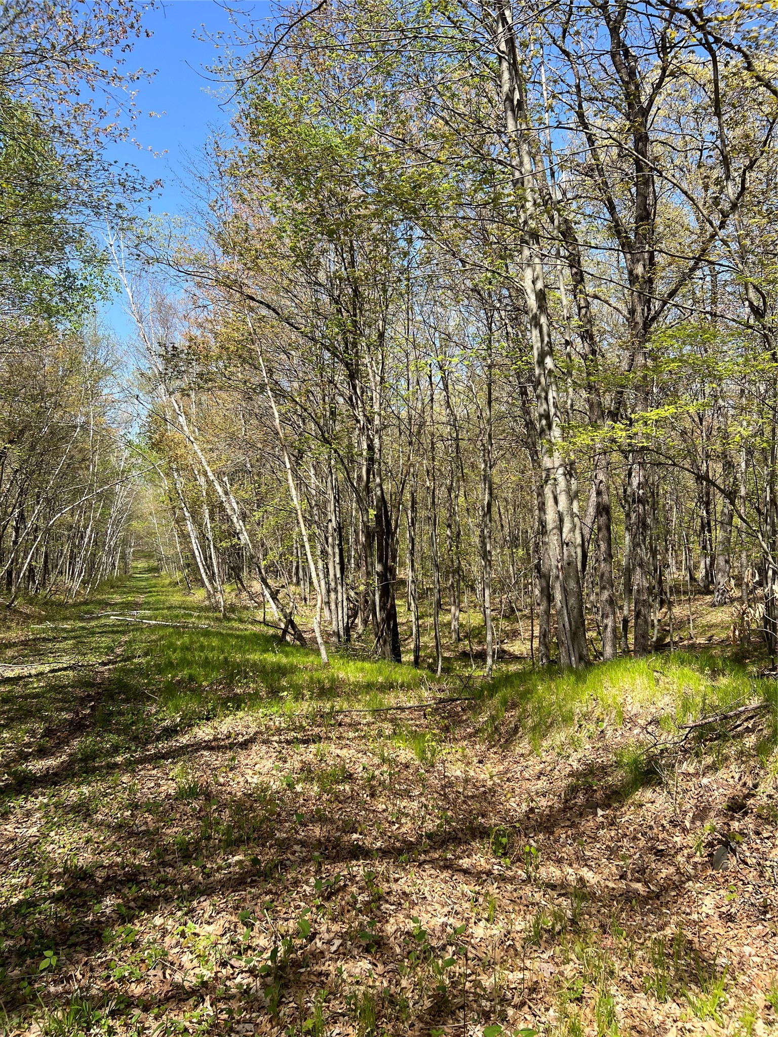 W6474 River Road Property Photo 21