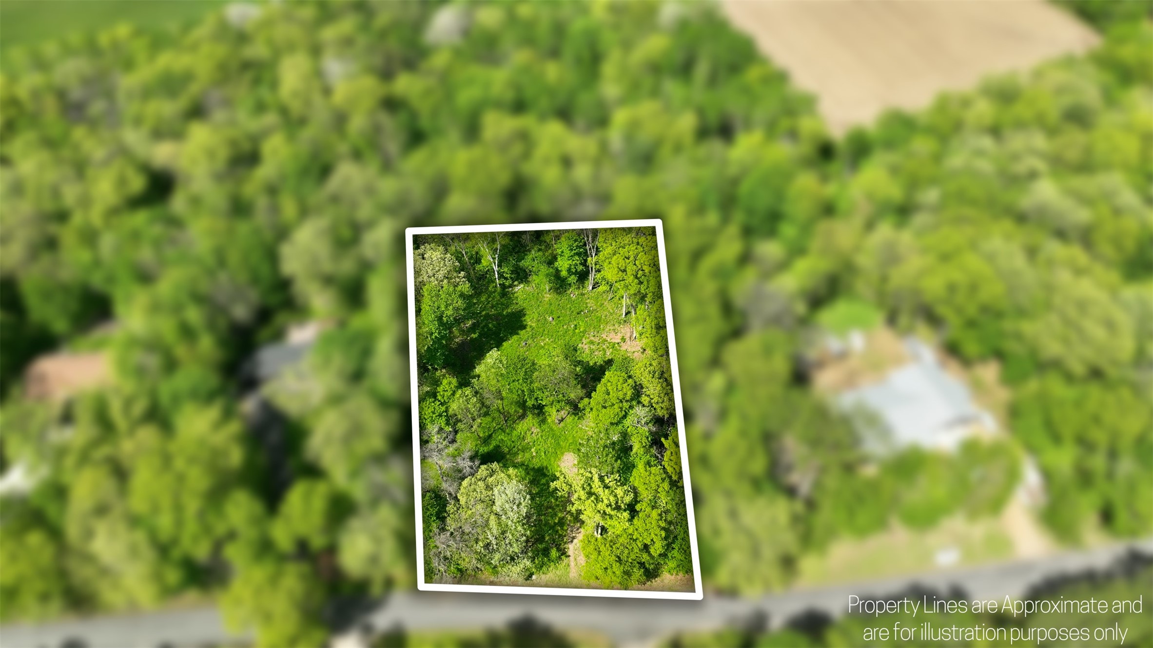 E6049 852nd Avenue Property Photo 18