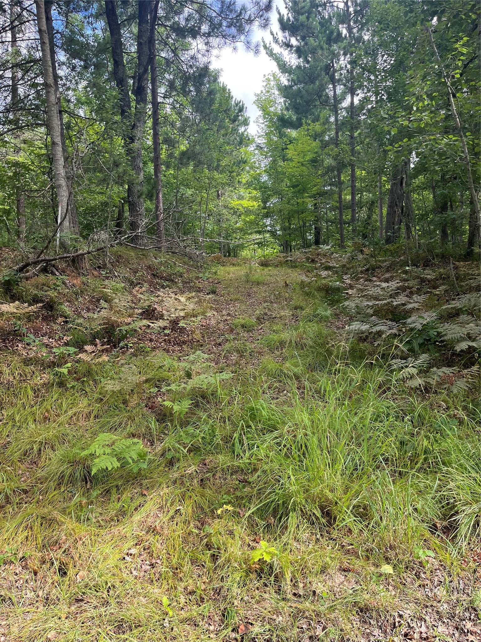 Lot 160 Eagle Drive Property Photo 14