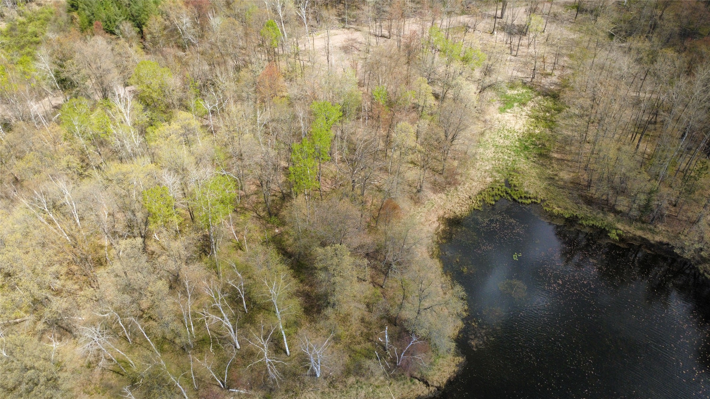 000 Ramer Road Property Photo 3