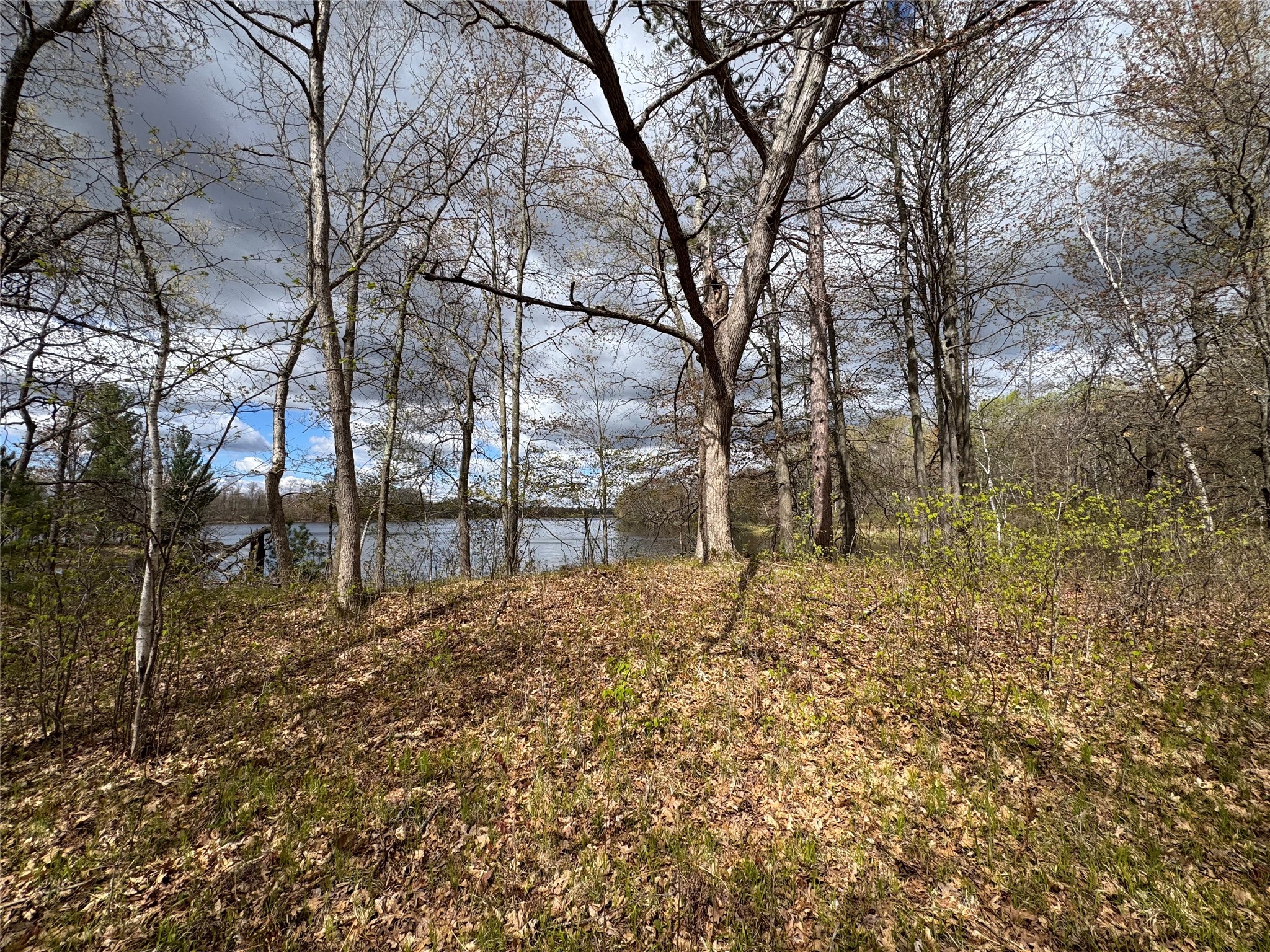 000 Ramer Road Property Photo 11