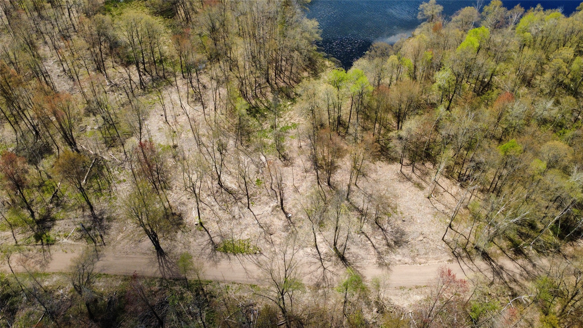 000 Ramer Road Property Photo 15