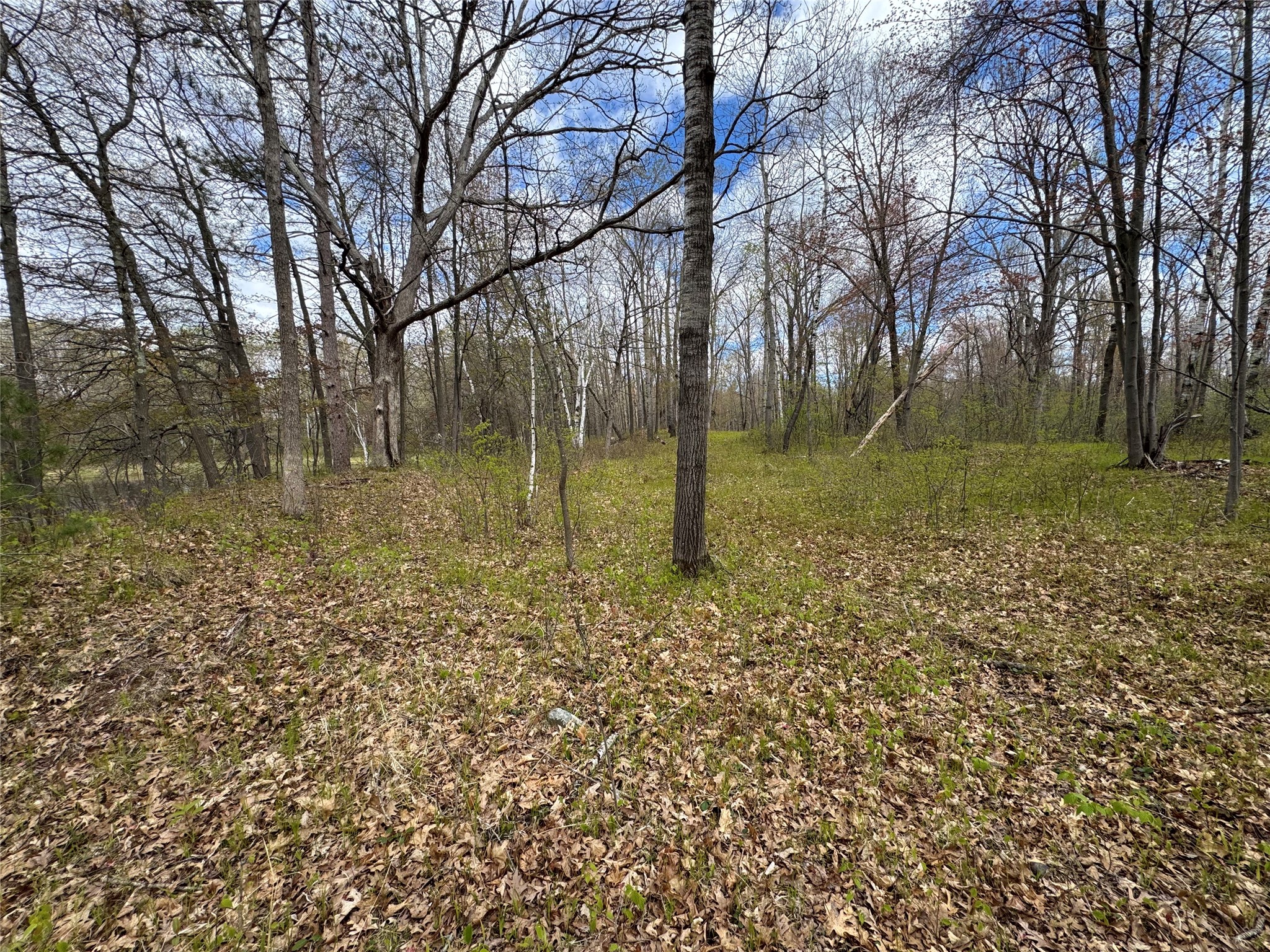 000 Ramer Road Property Photo 23