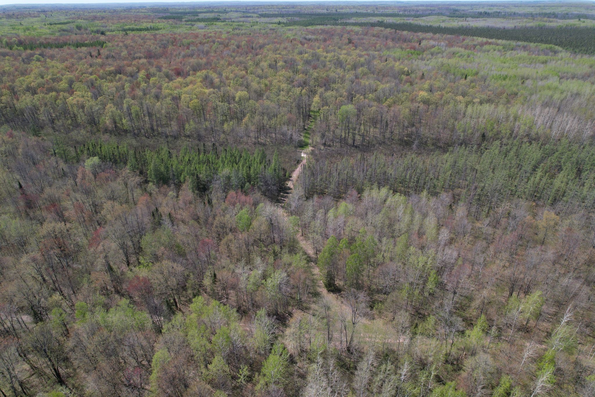 Off Hay Creek Road Property Photo 6