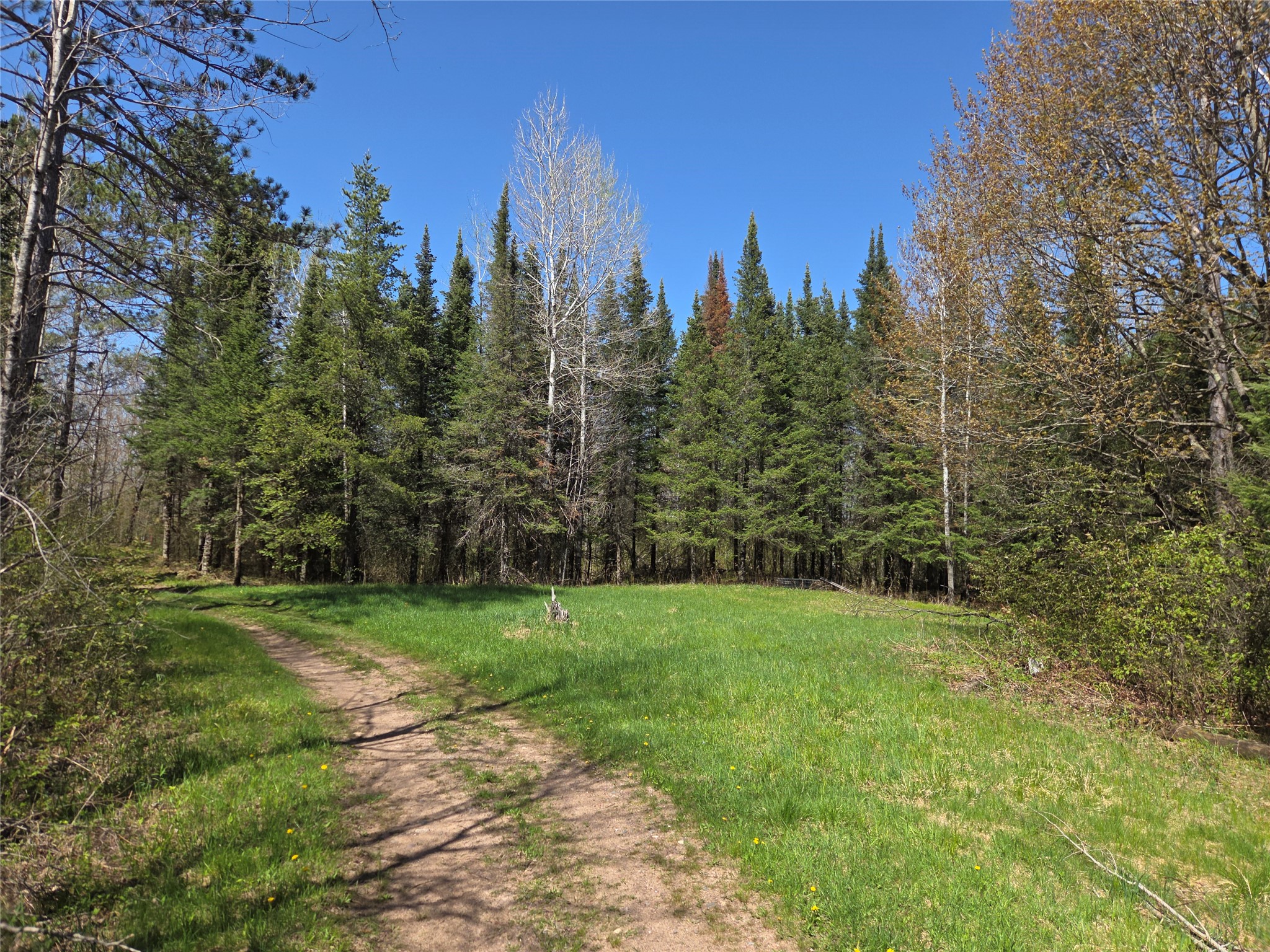 Off Hay Creek Road Property Photo 8