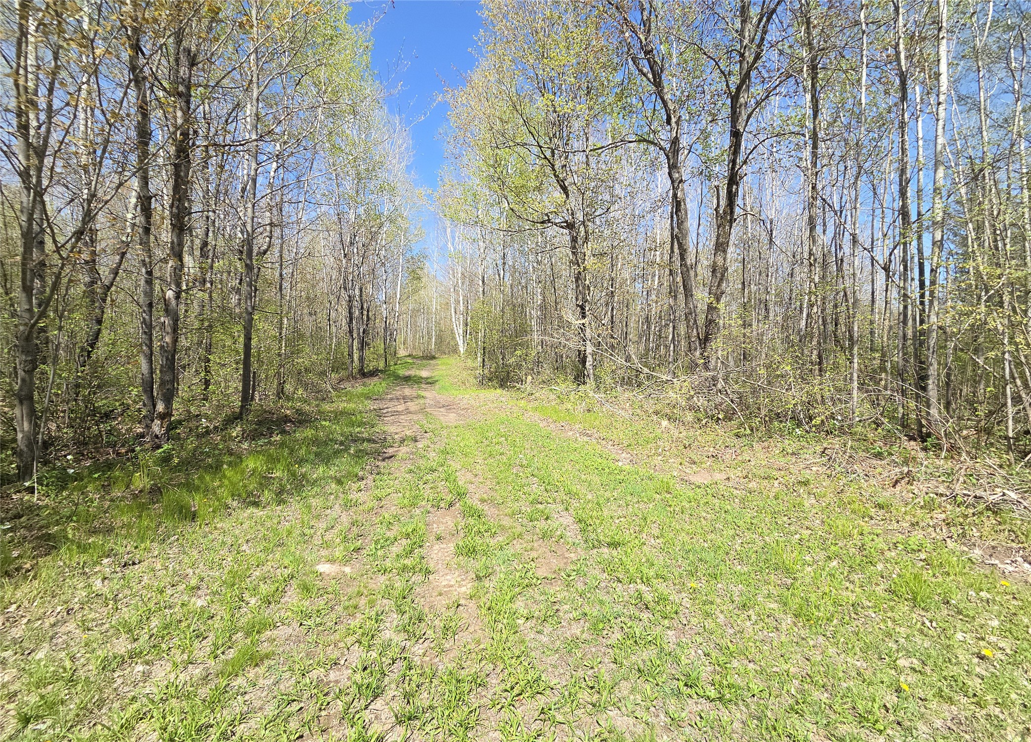 Off Hay Creek Road Property Photo 9