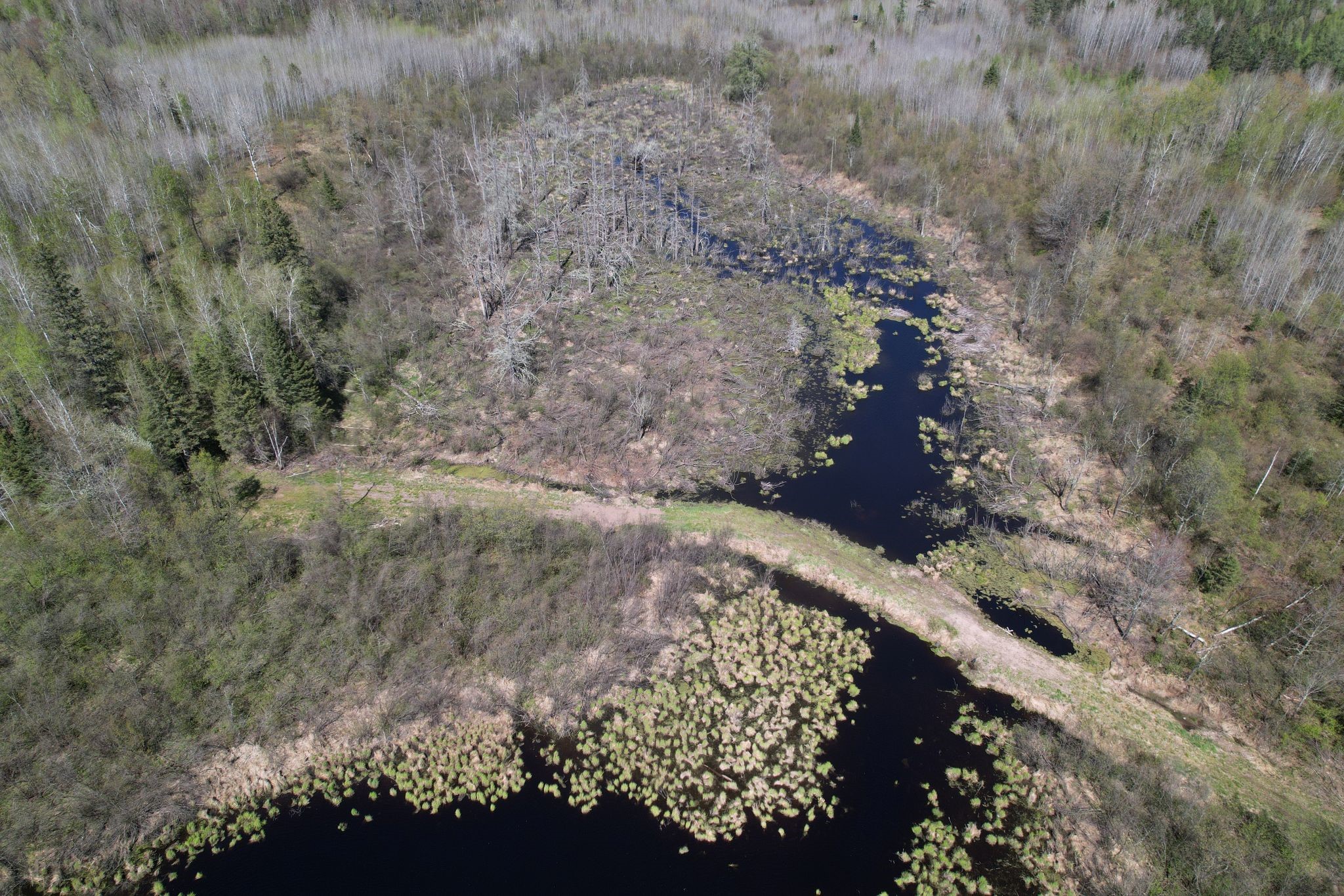Off Hay Creek Road Property Photo 13