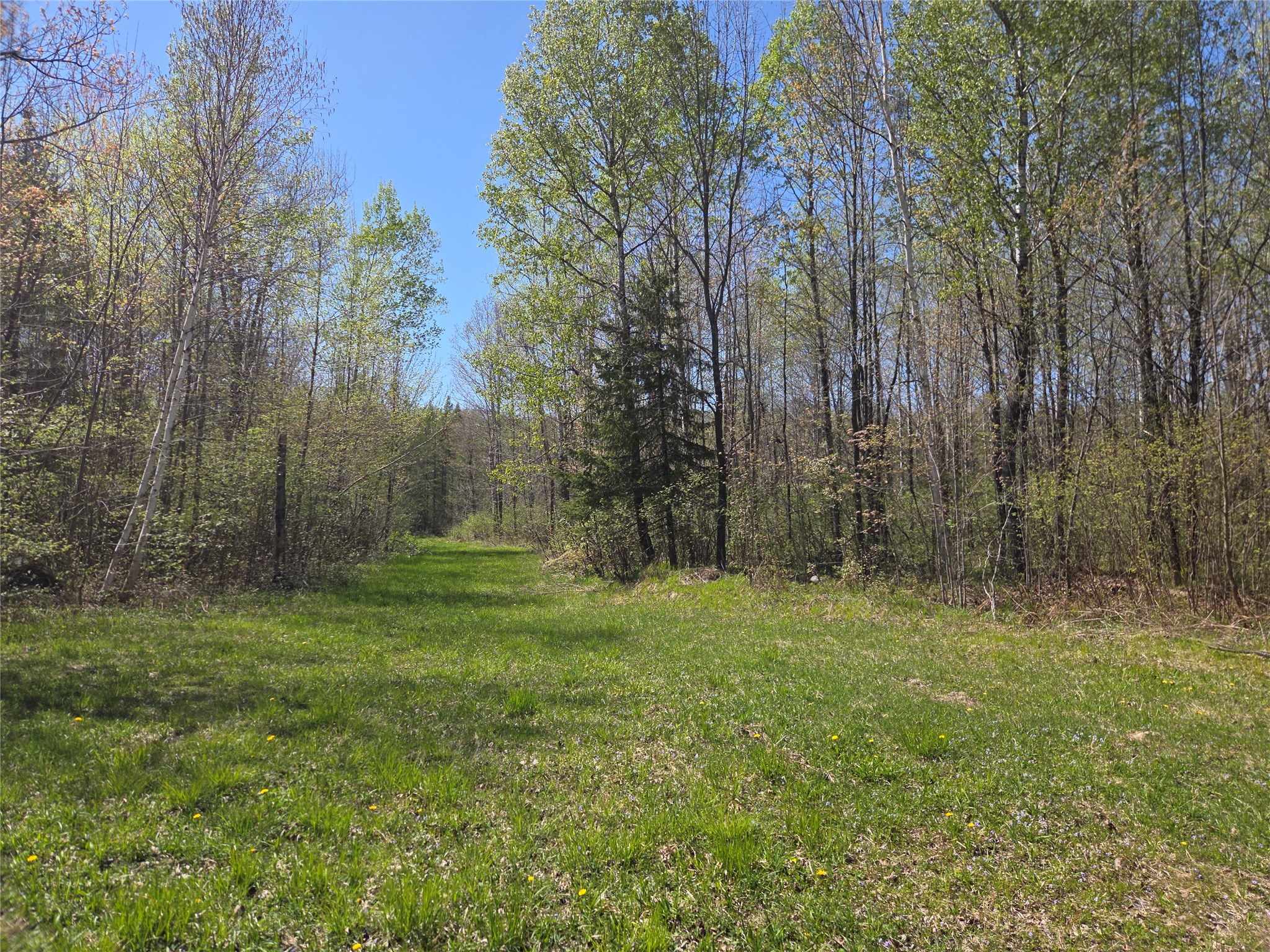 Off Hay Creek Road Property Photo 19