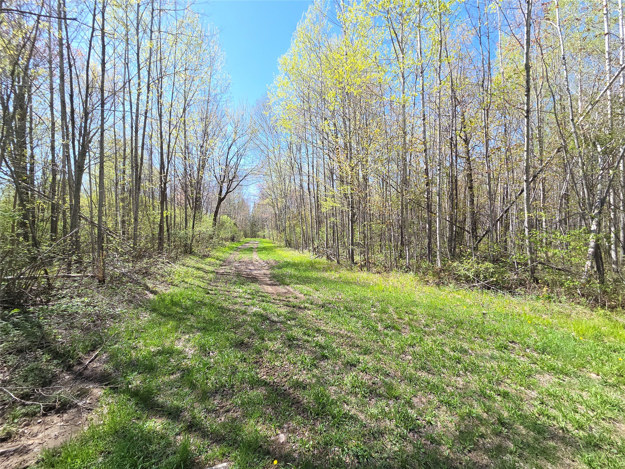 Off Hay Creek Road Property Photo 20