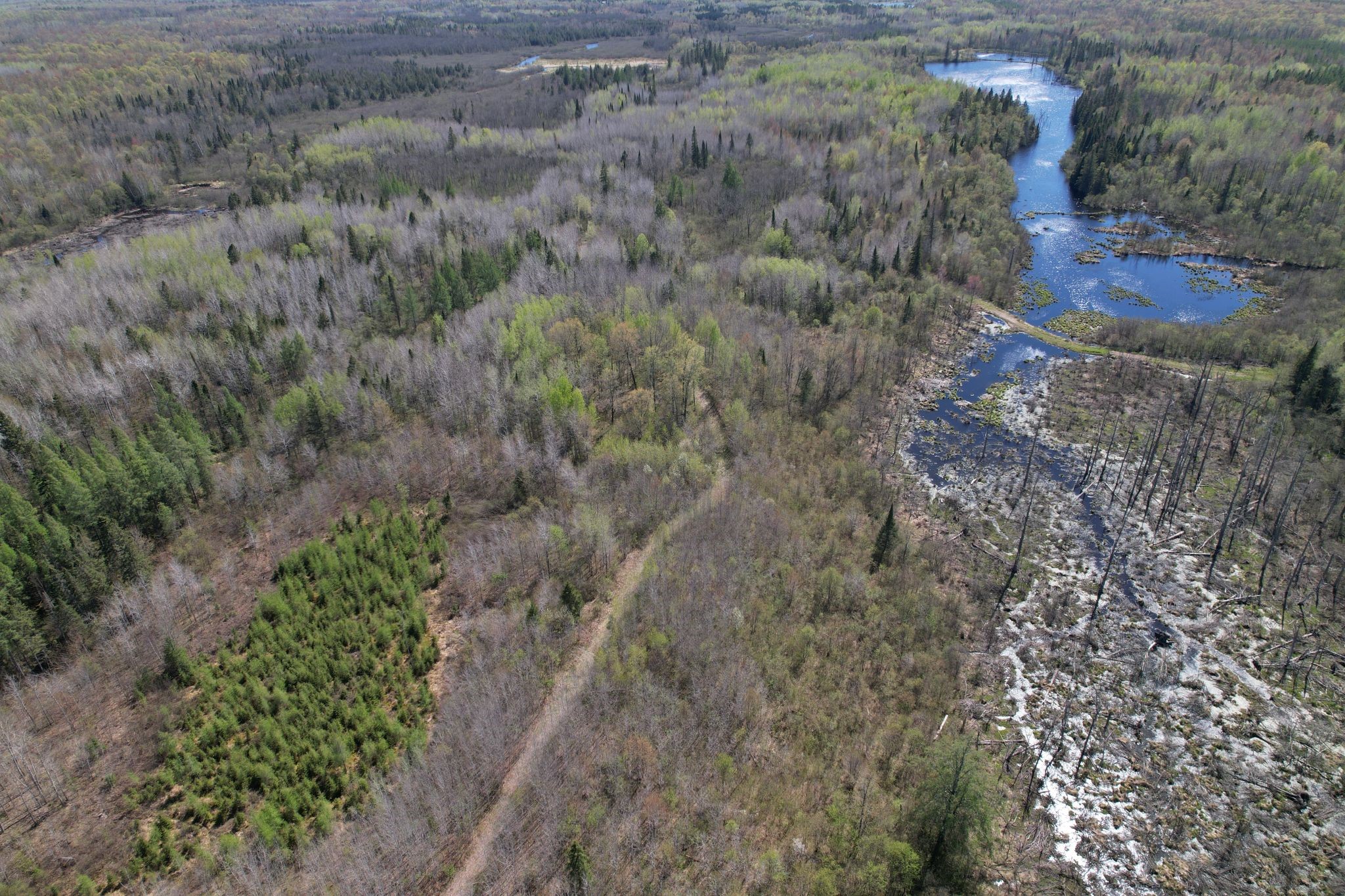 Off Hay Creek Road Property Photo 22