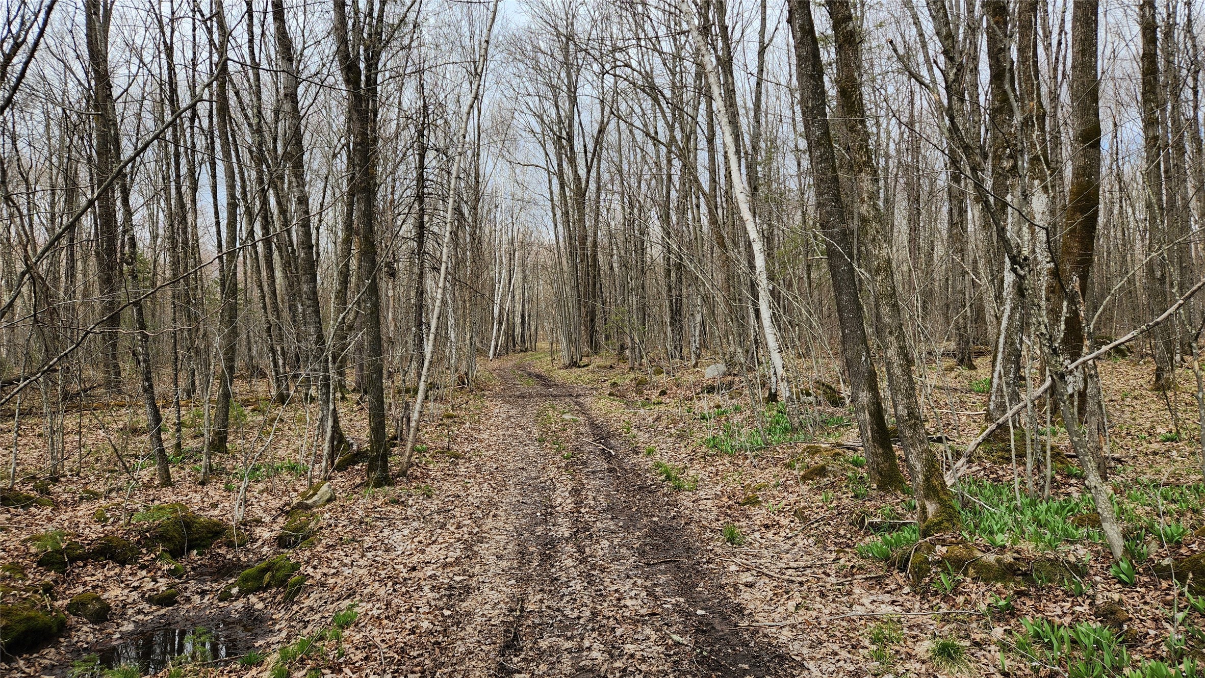 Off Hay Creek Road Property Photo 29