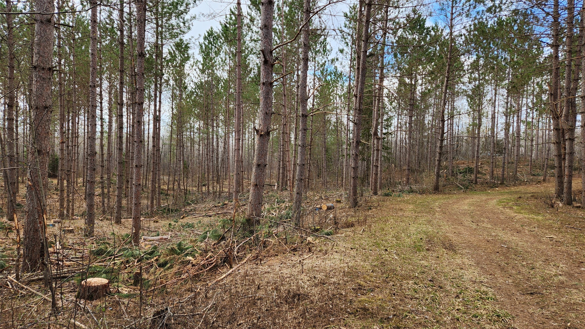 Off Hay Creek Road Property Photo 31
