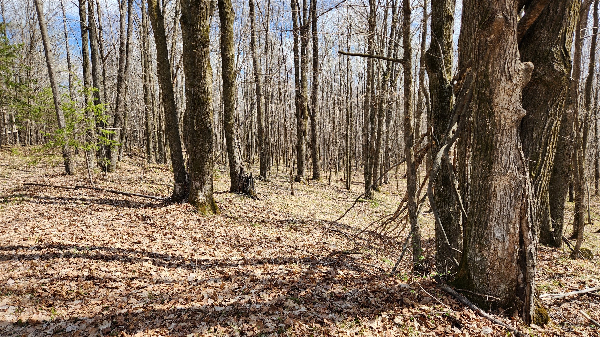 Off Hay Creek Road Property Photo 33