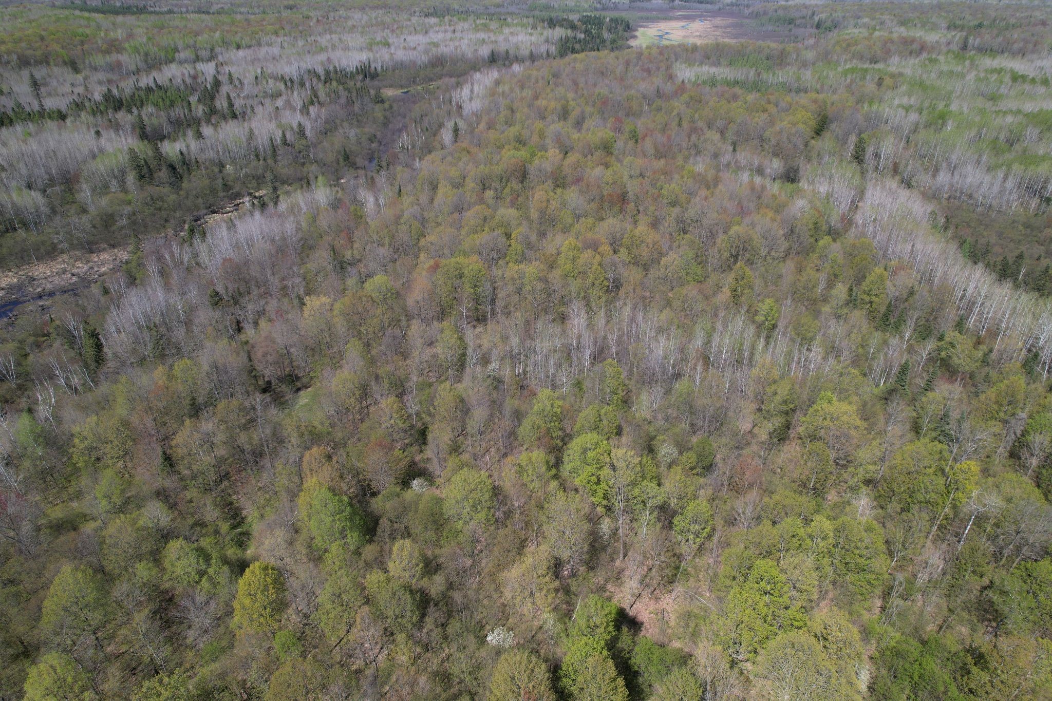 Off Hay Creek Road Property Photo 38