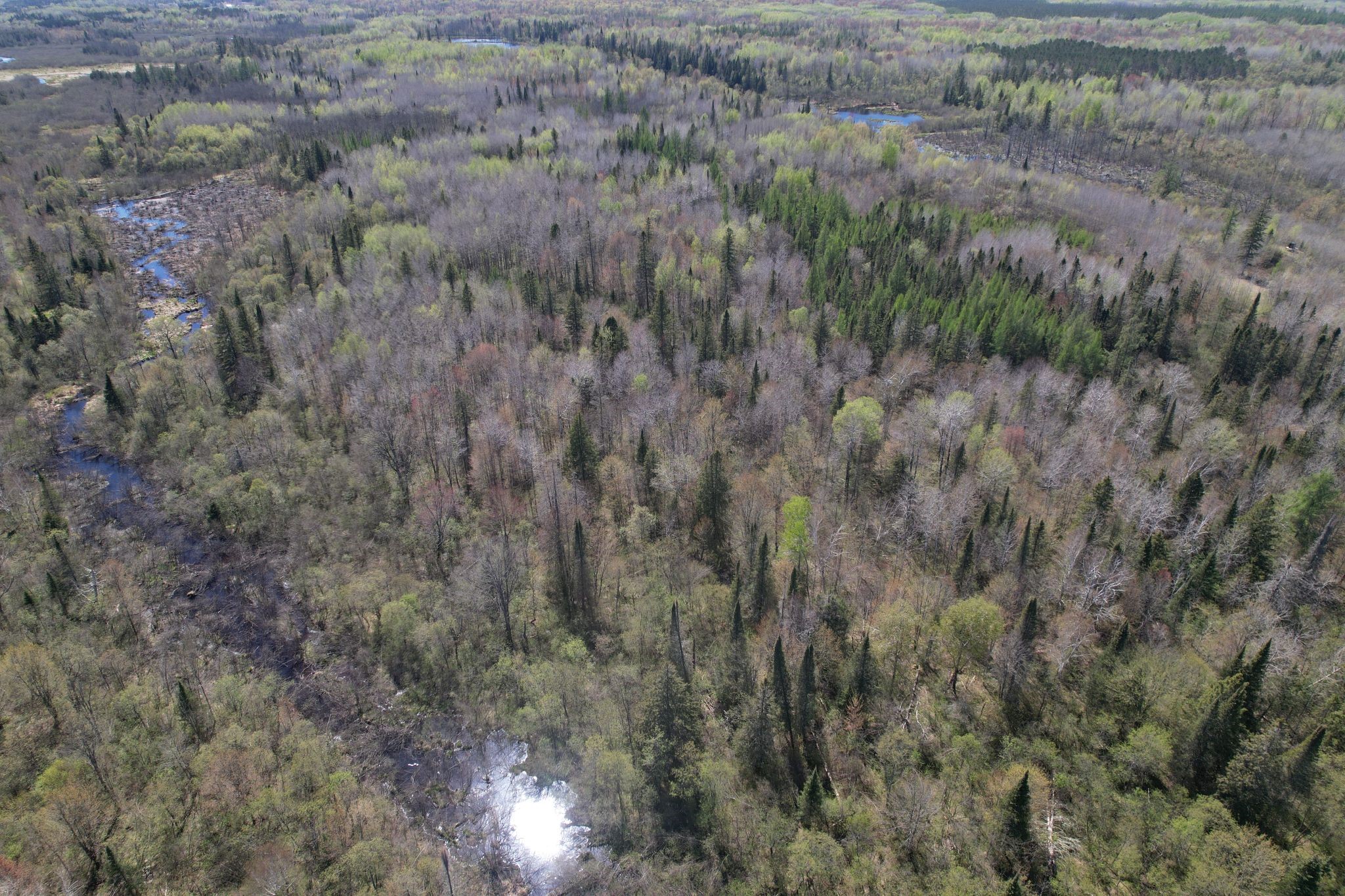 Off Hay Creek Road Property Photo 39