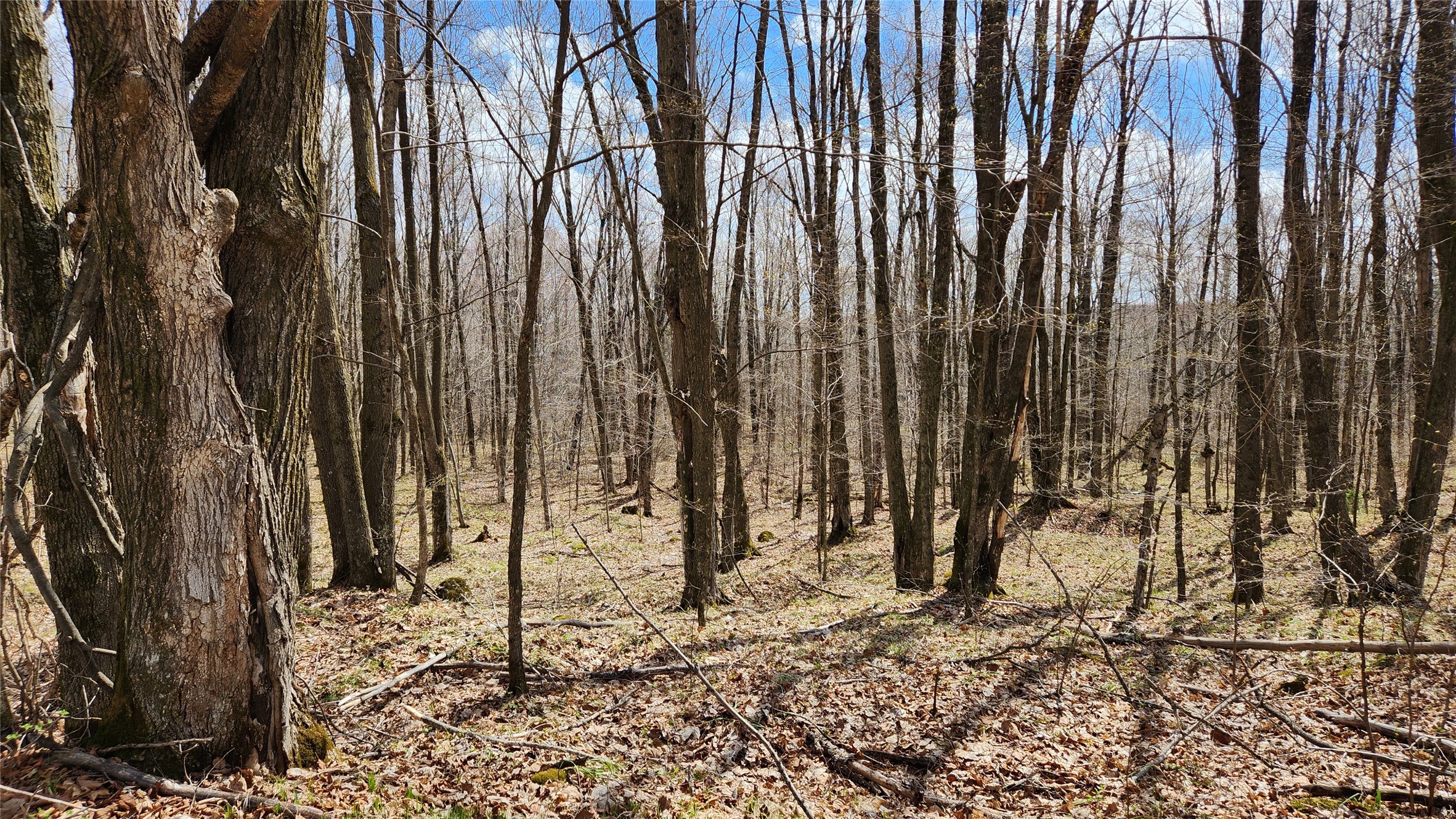 Off Hay Creek Road Property Photo 41