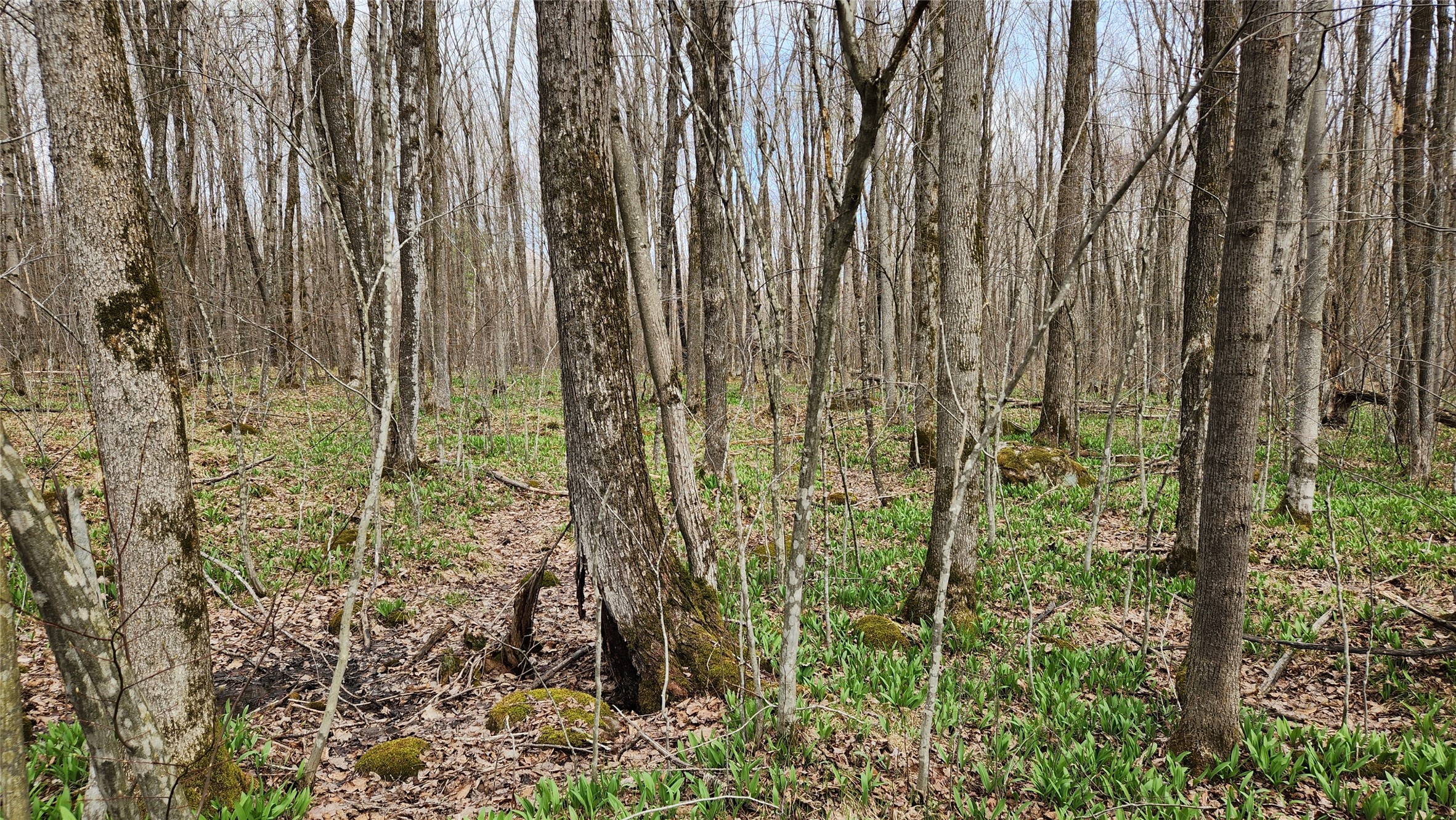 Off Hay Creek Road Property Photo 42