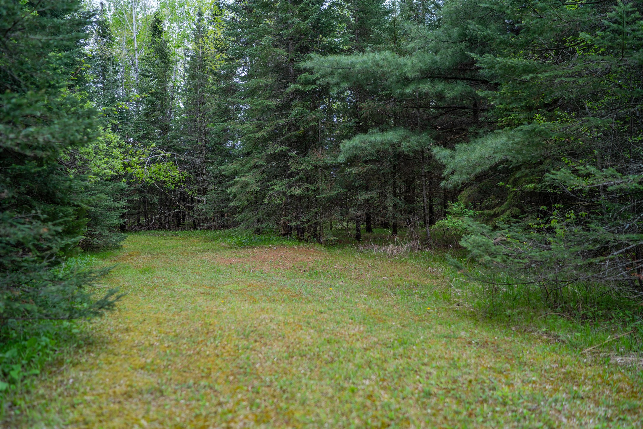 N6481 Candy Drive Property Photo 12