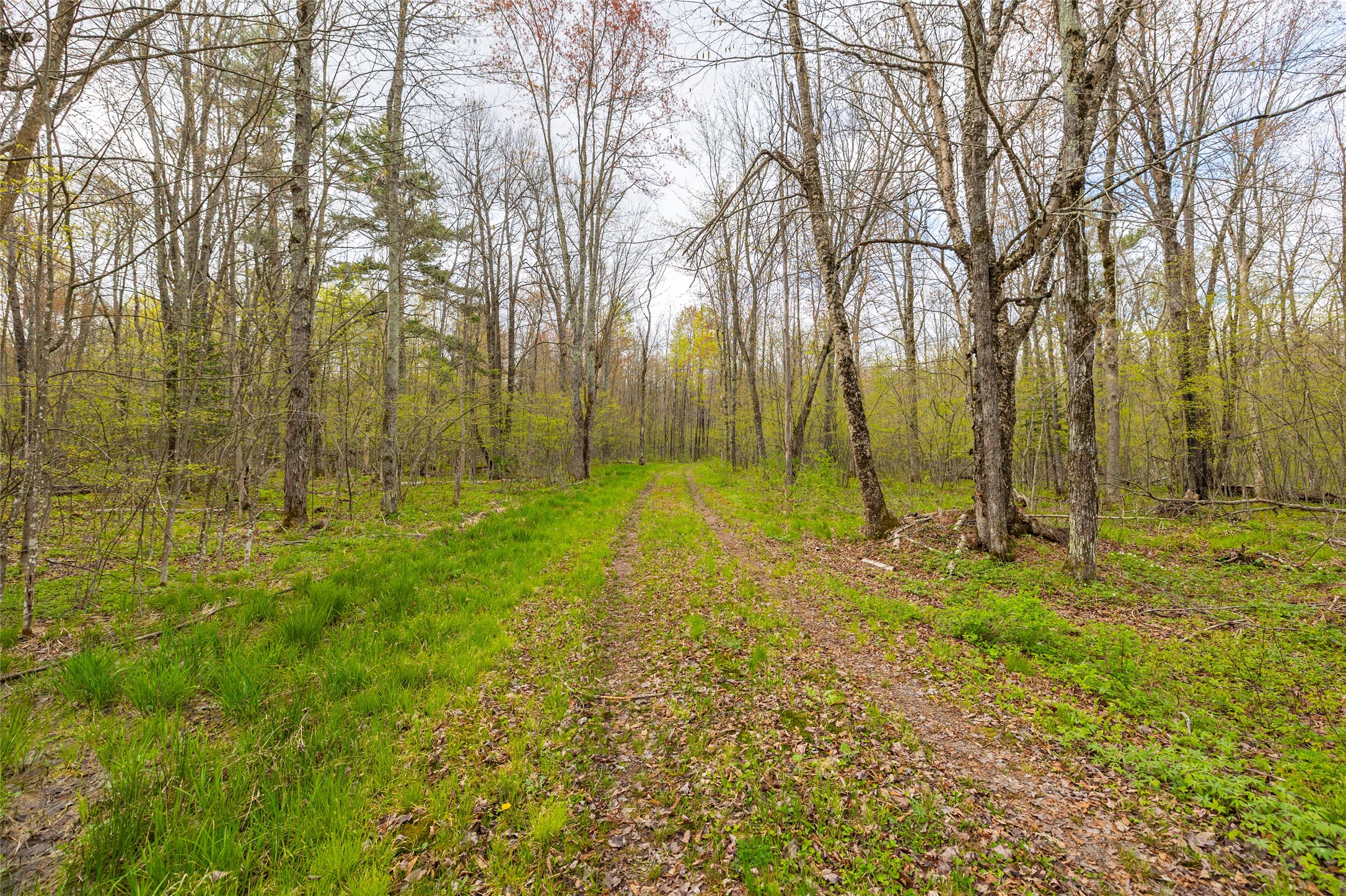 5807 Strom Road Property Photo 12