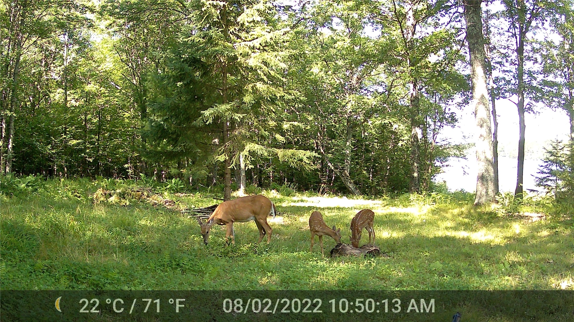 5807 Strom Road Property Photo 13