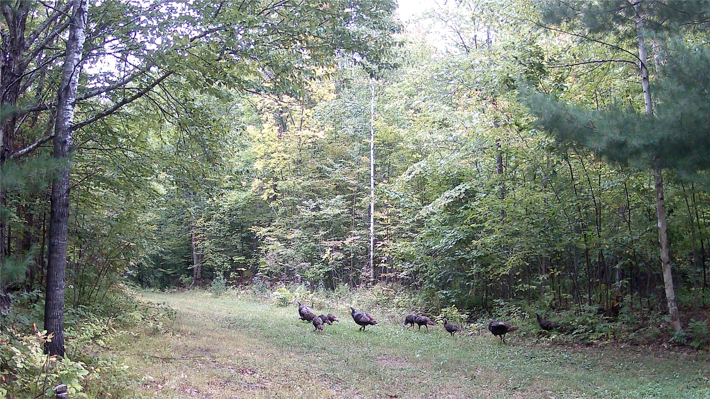 5807 Strom Road Property Photo 14