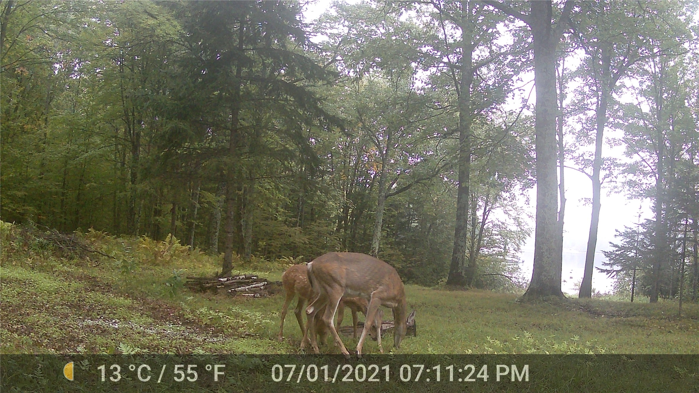 5807 Strom Road Property Photo 17