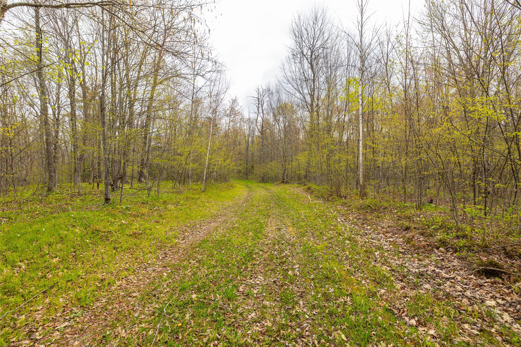 5807 Strom Road Property Photo 25