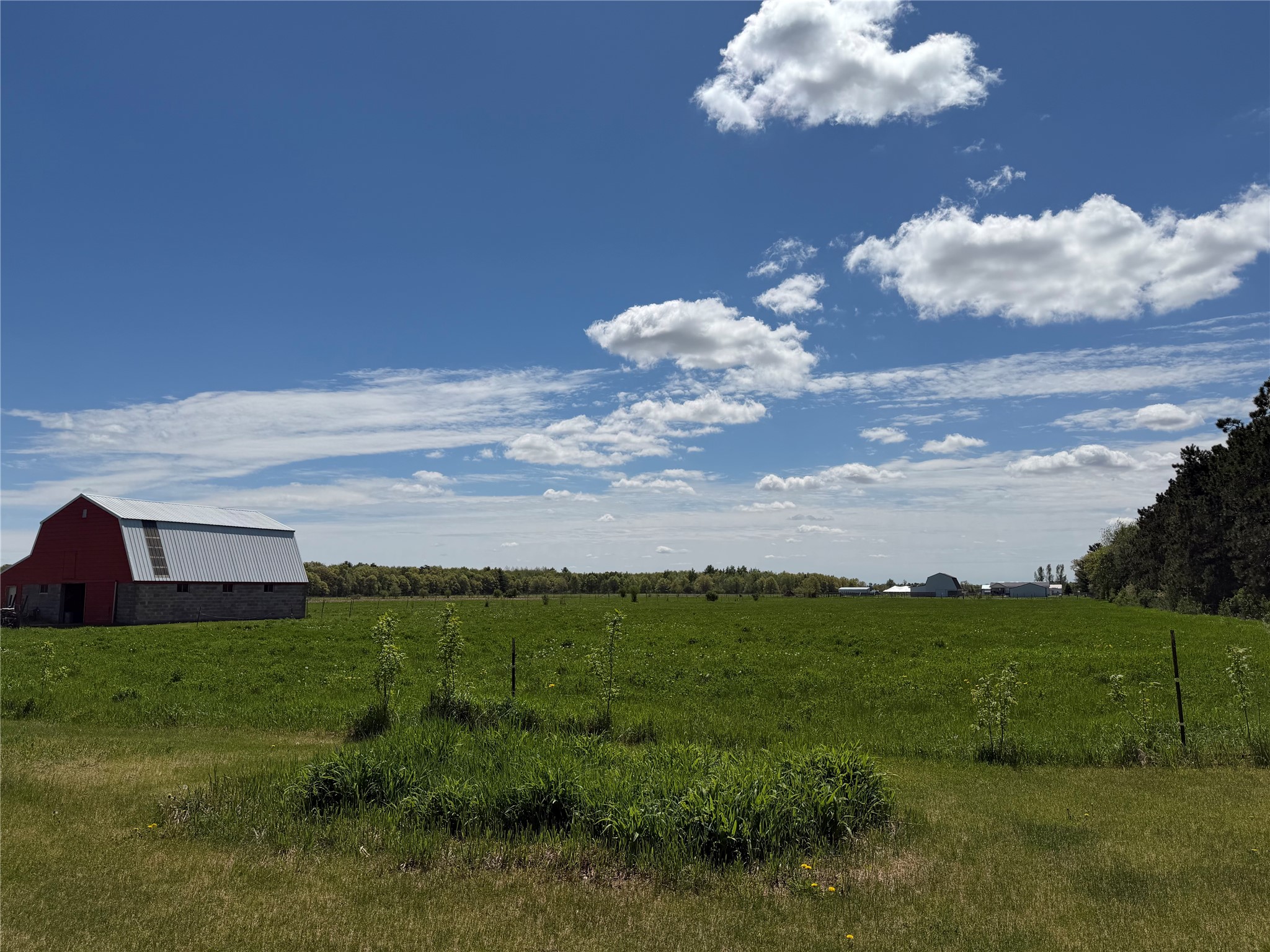 9003 280th Avenue Property Photo 15