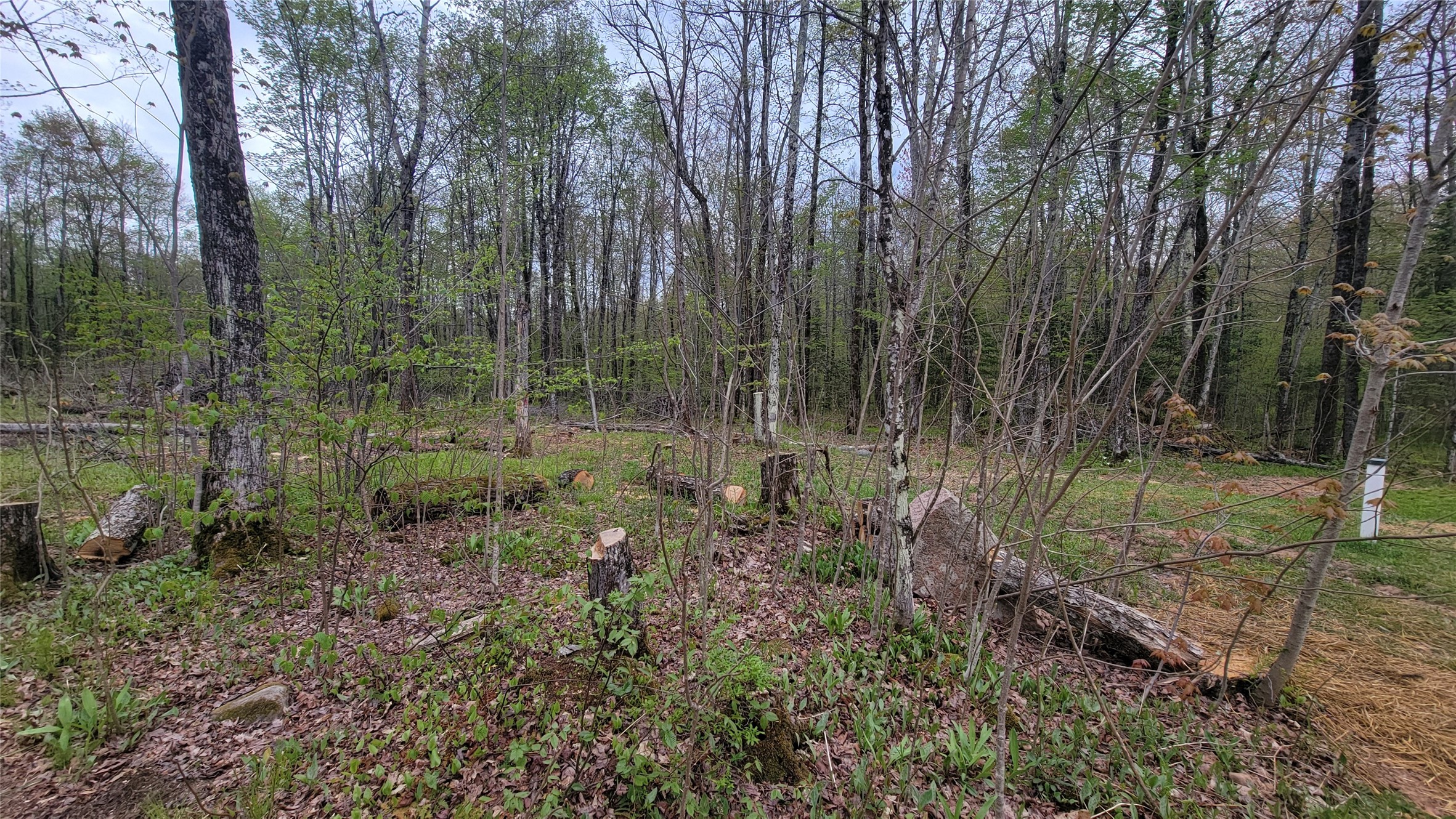 W10389 Fleming Road Property Photo 16