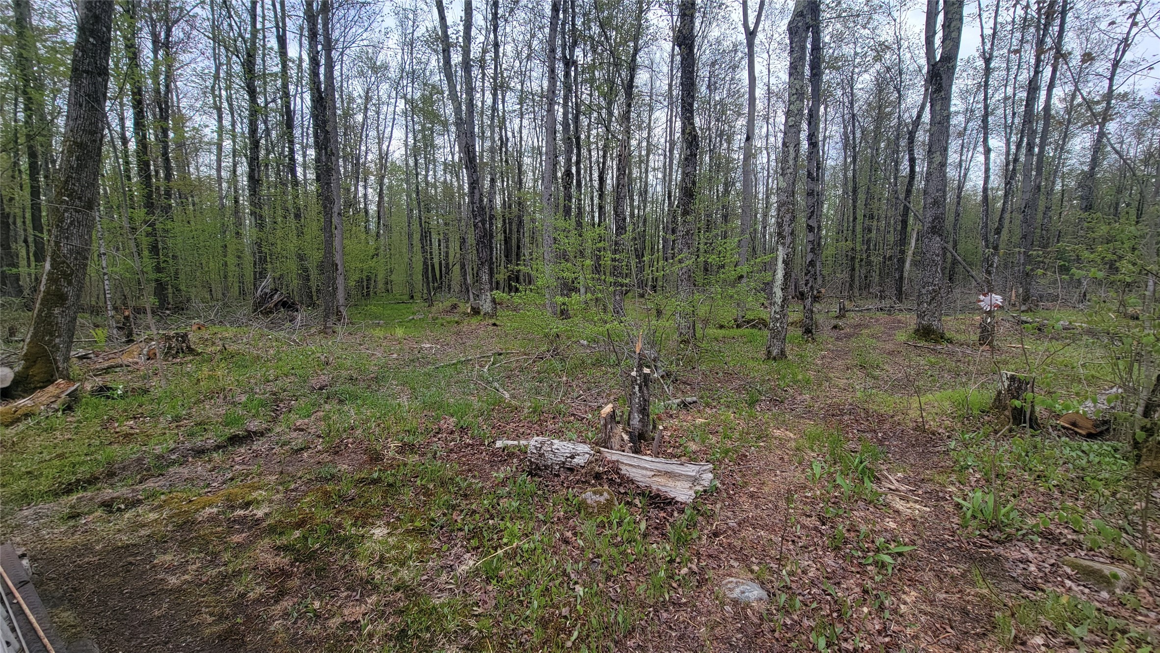 W10389 Fleming Road Property Photo 19