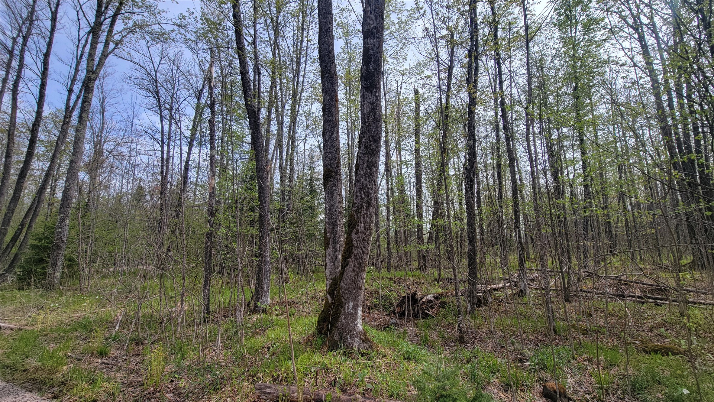 W10389 Fleming Road Property Photo 21