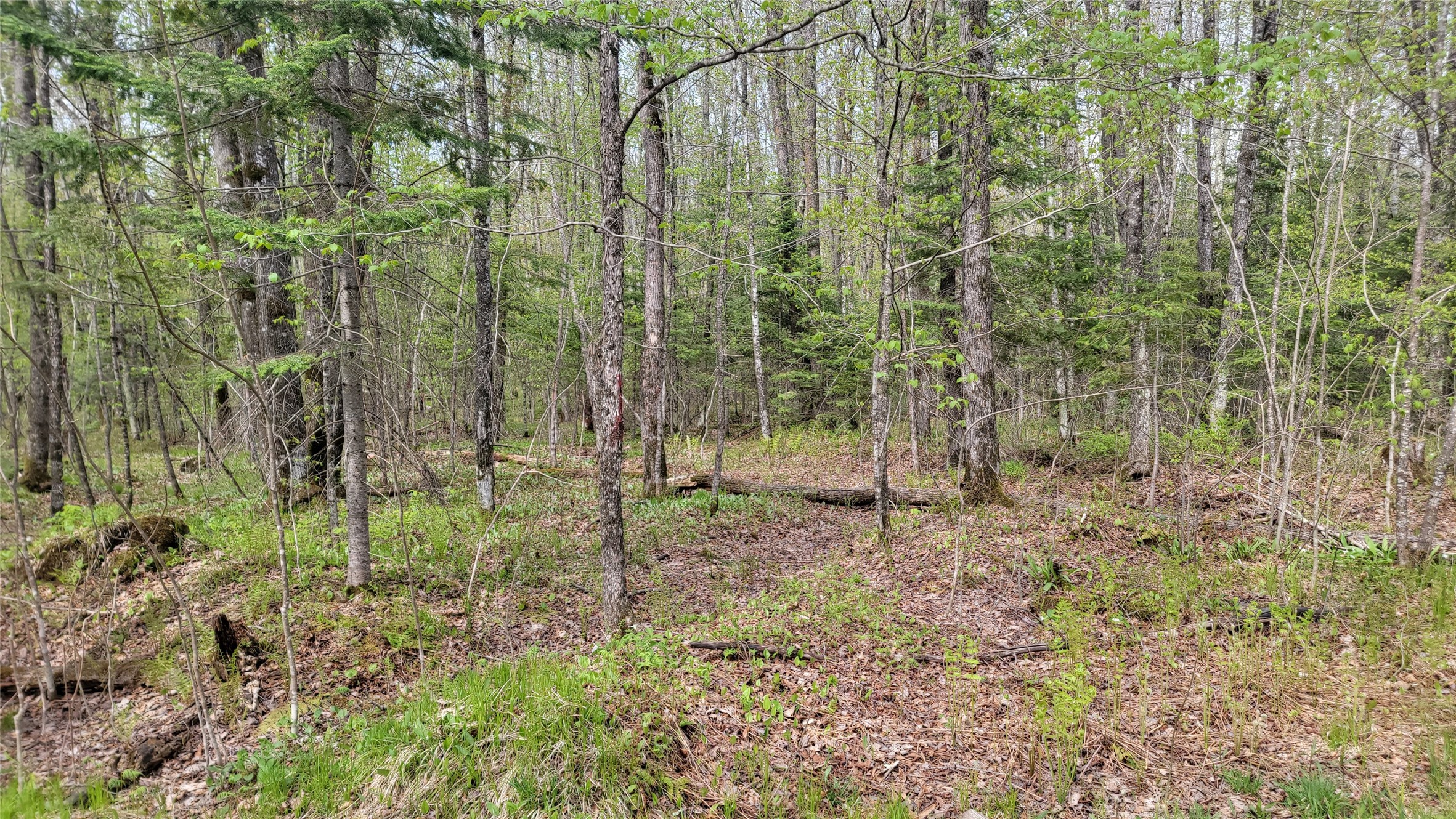 W10389 Fleming Road Property Photo 22