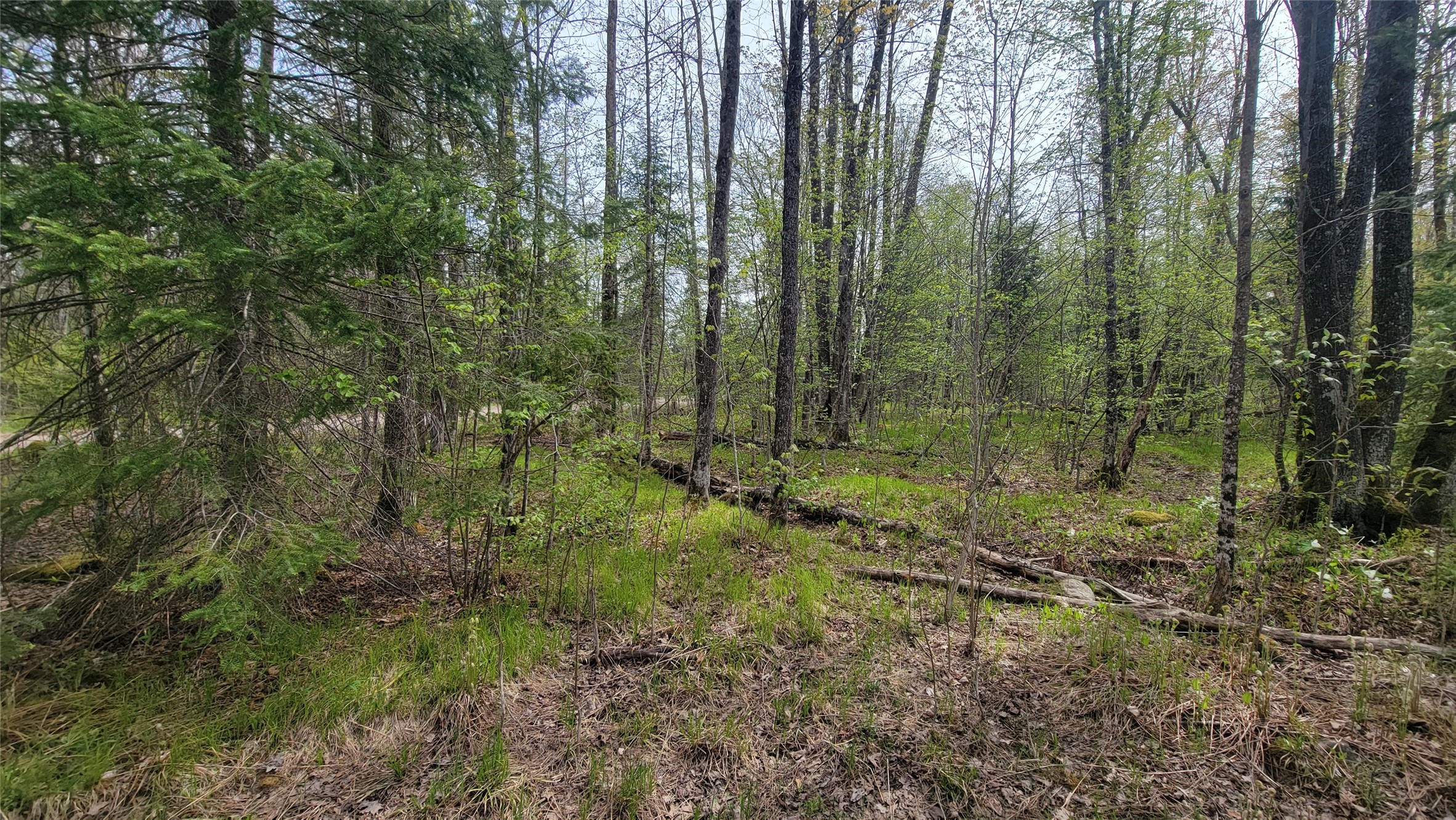 W10389 Fleming Road Property Photo 23