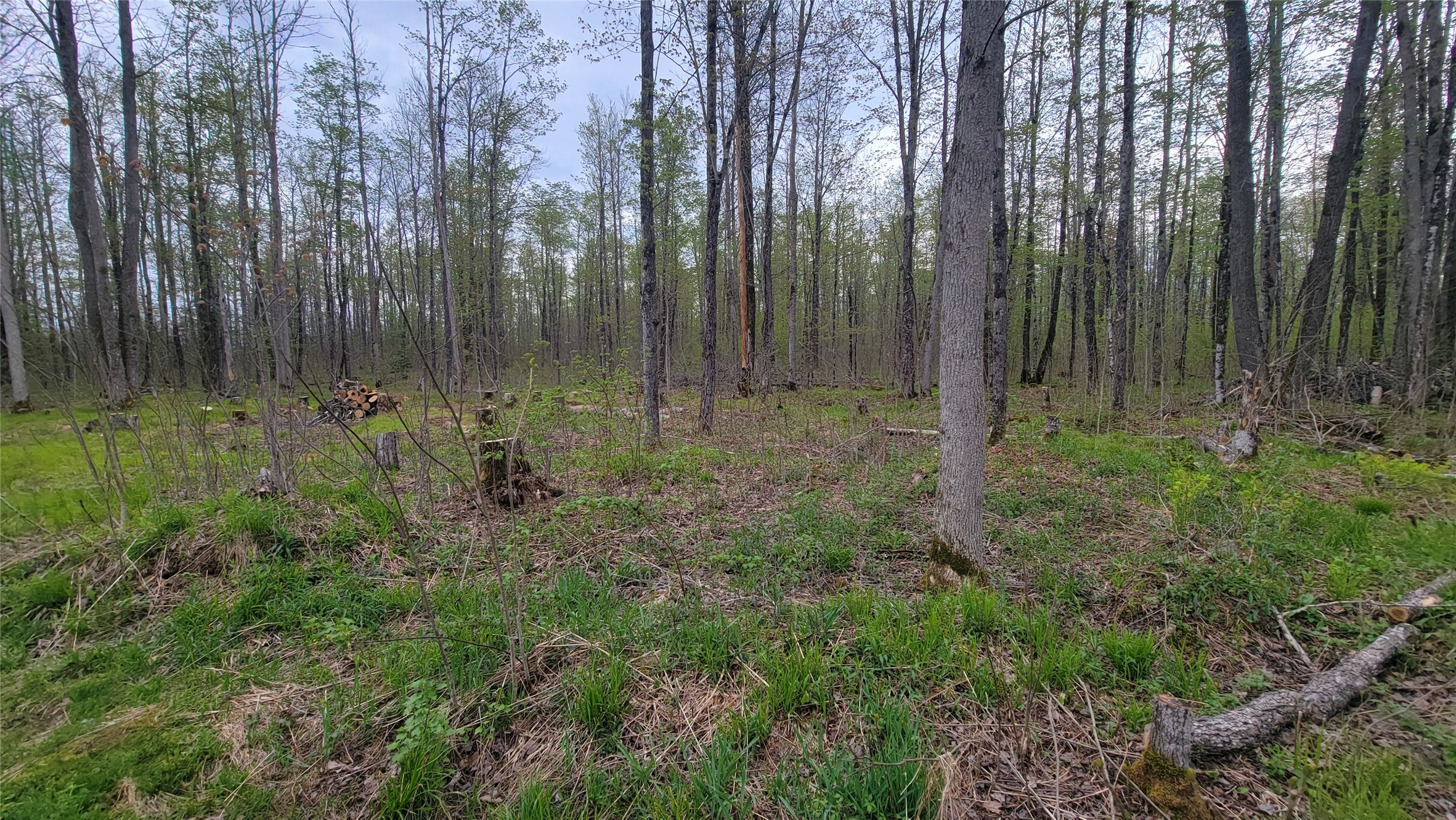 W10389 Fleming Road Property Photo 24