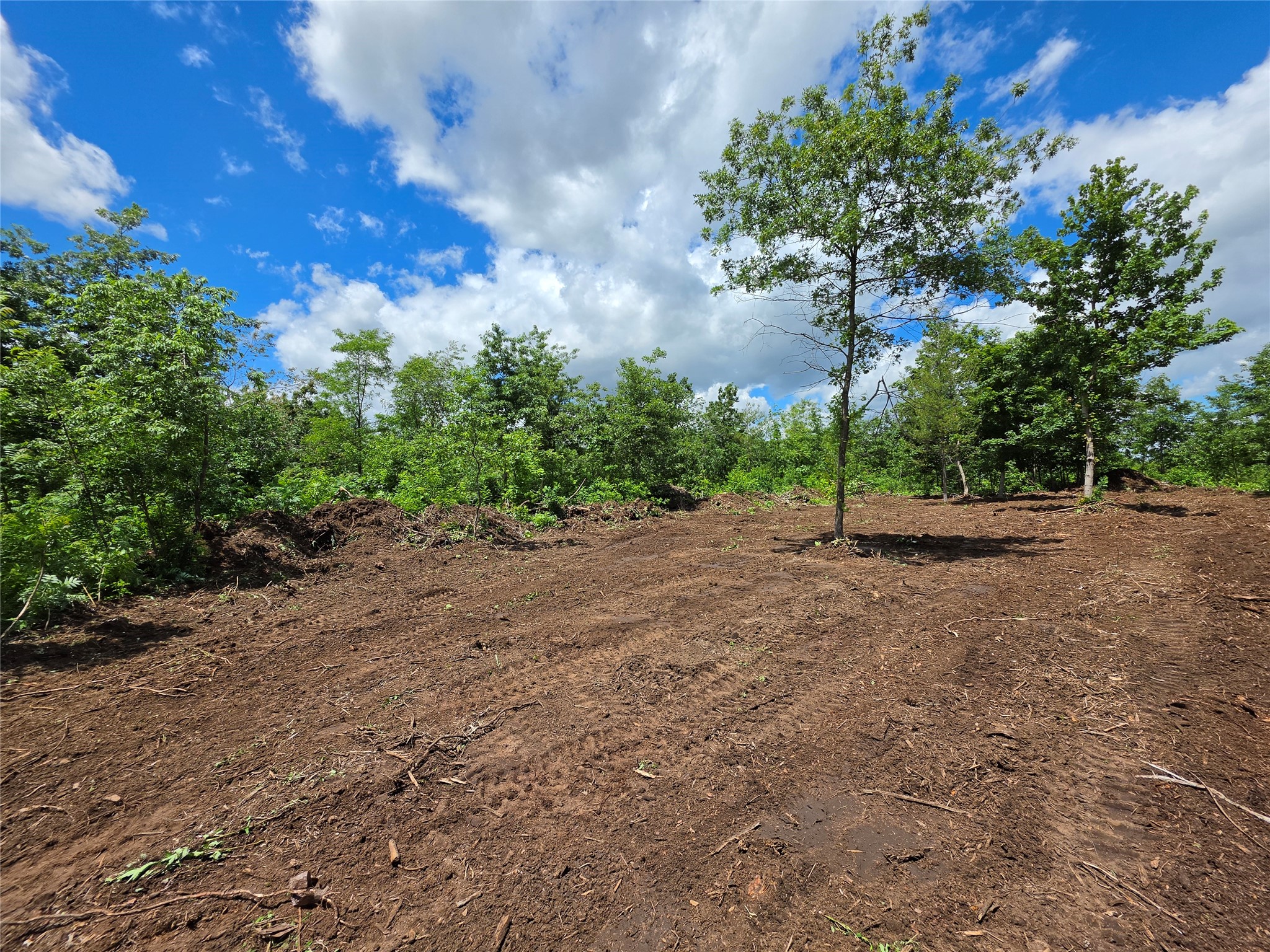 Lot 7 & 8 370th Avenue Property Photo 4