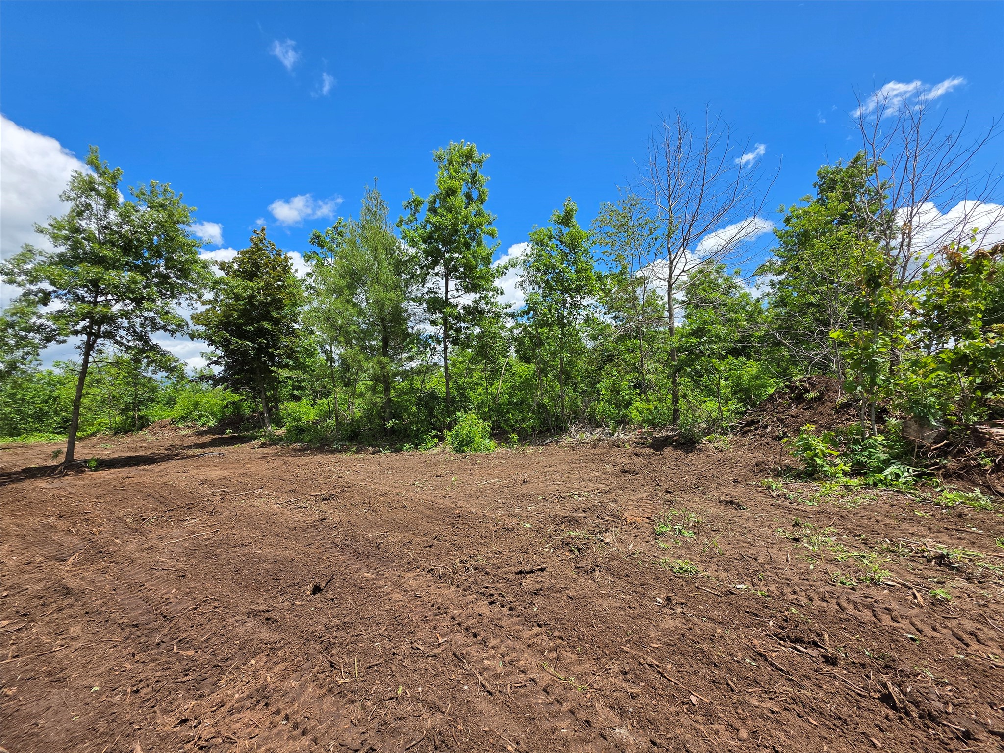 Lot 7 & 8 370th Avenue Property Photo 5