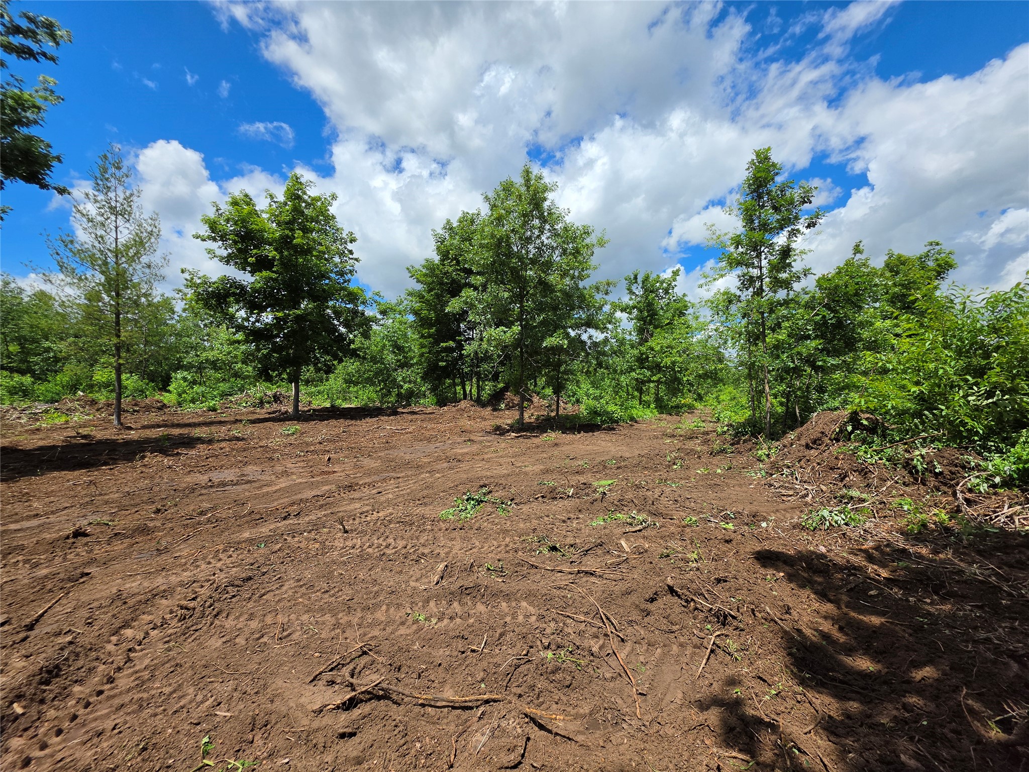 Lot 7 & 8 370th Avenue Property Photo 6