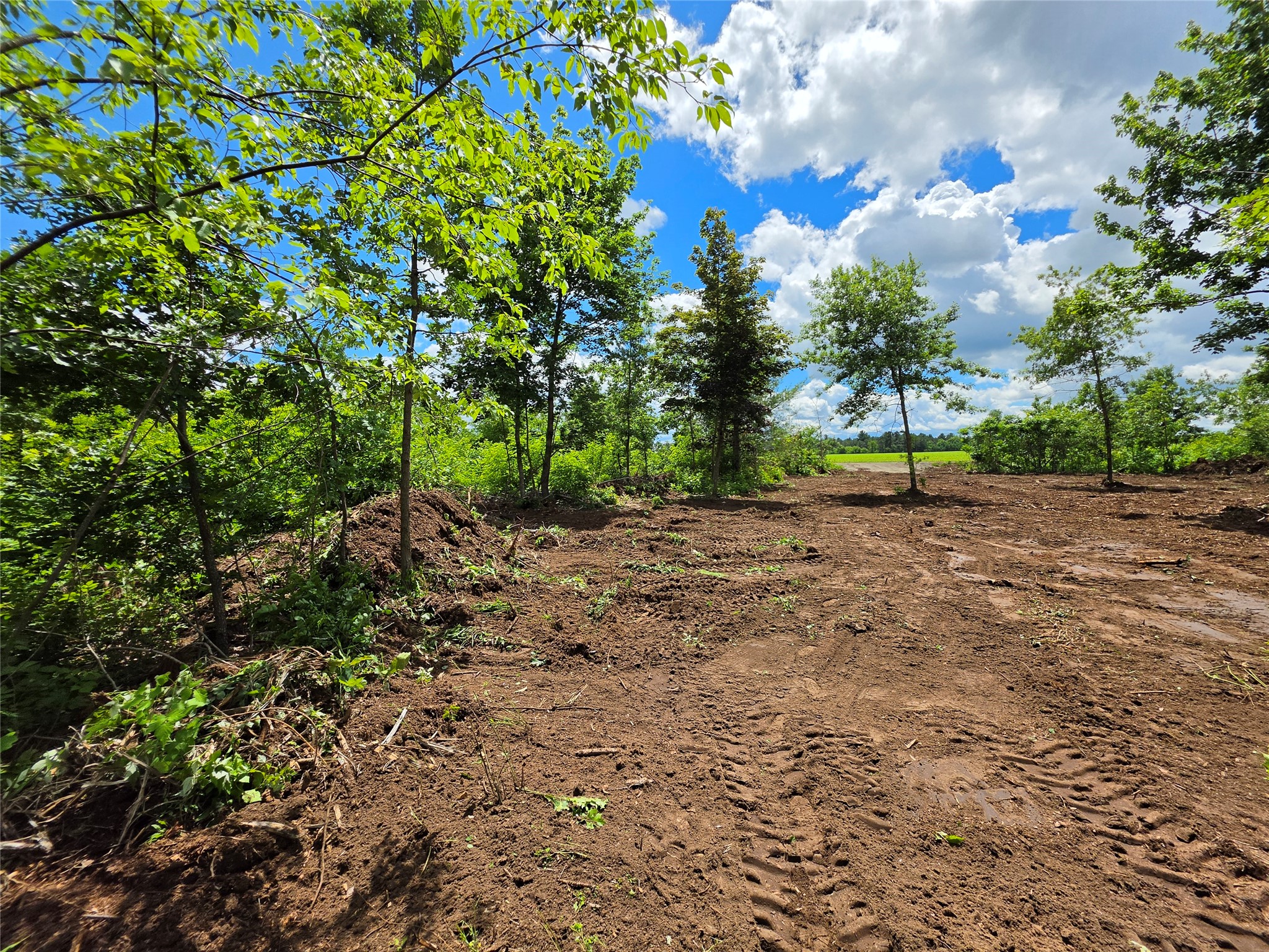 Lot 7 & 8 370th Avenue Property Photo 8