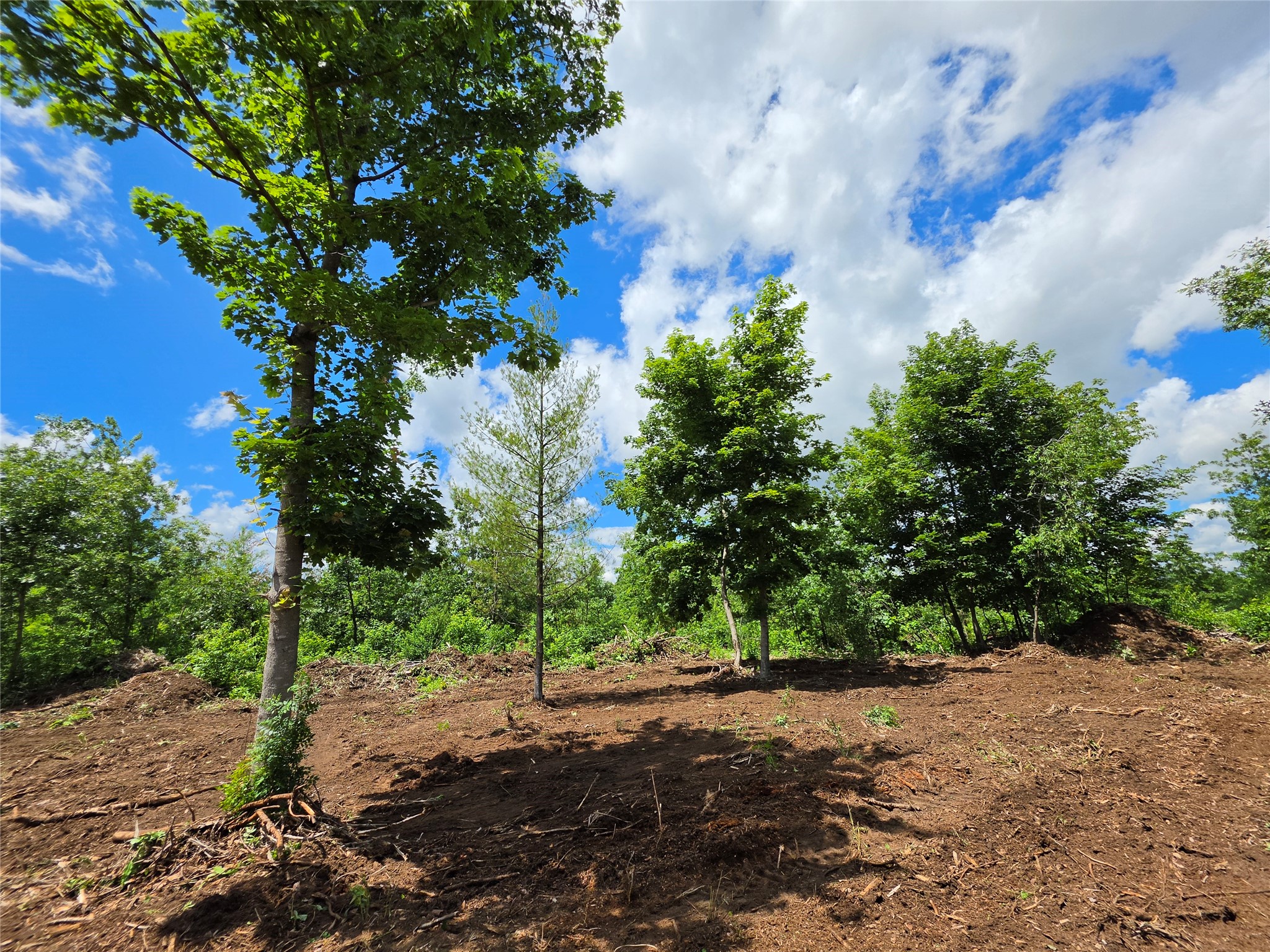 Lot 7 & 8 370th Avenue Property Photo 9