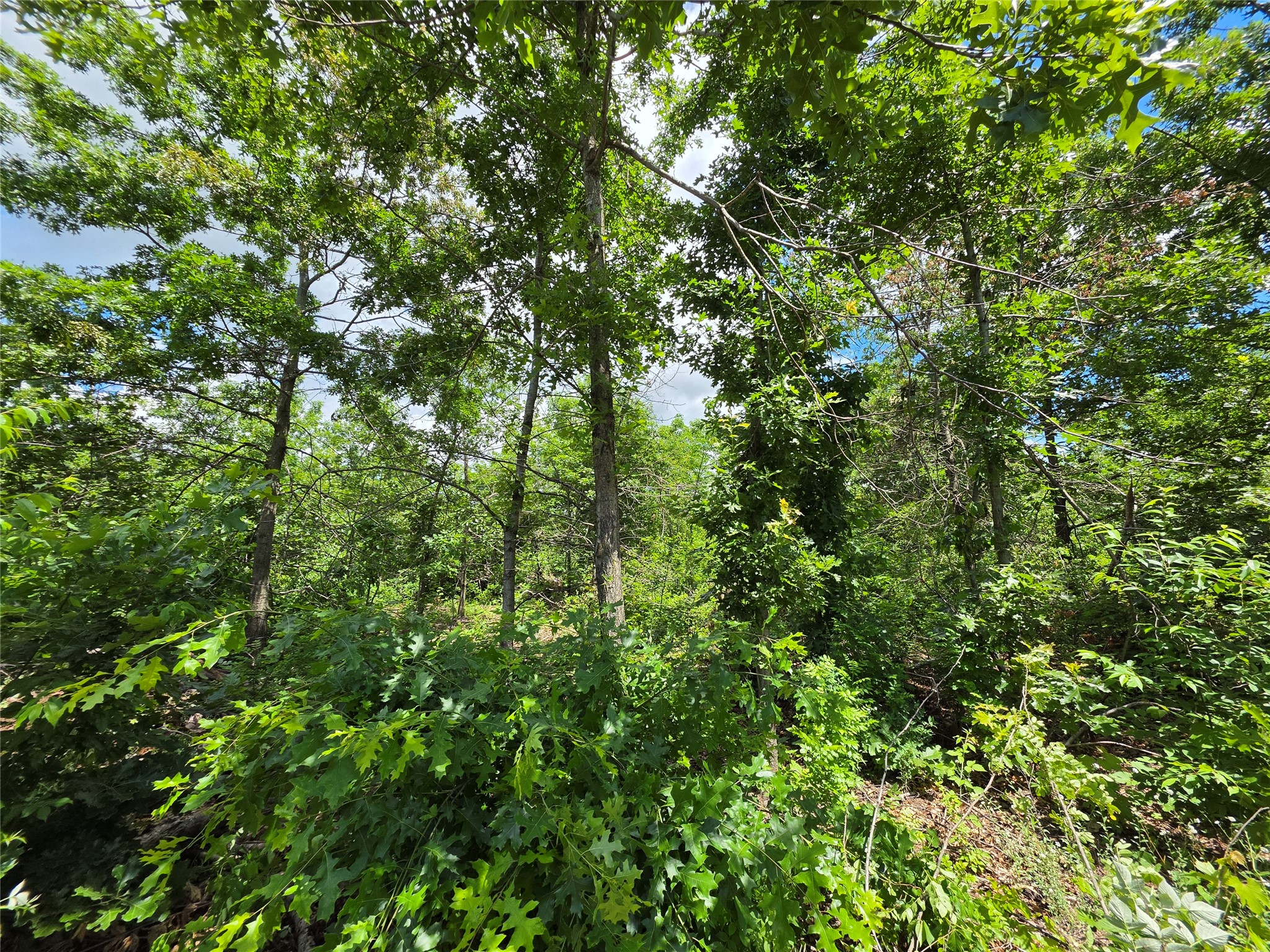 Lot 7 & 8 370th Avenue Property Photo 13