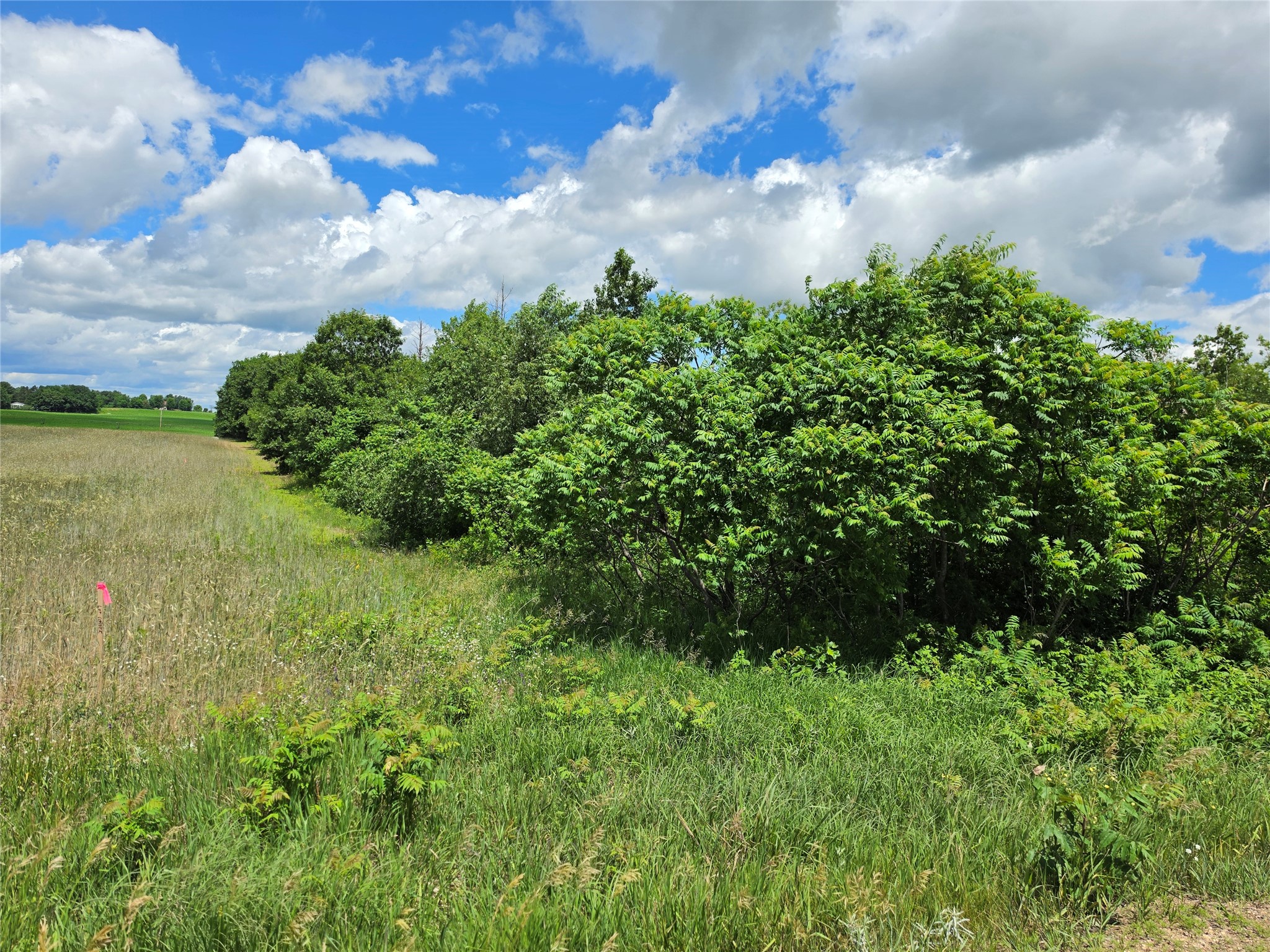 Lot 7 & 8 370th Avenue Property Photo 14