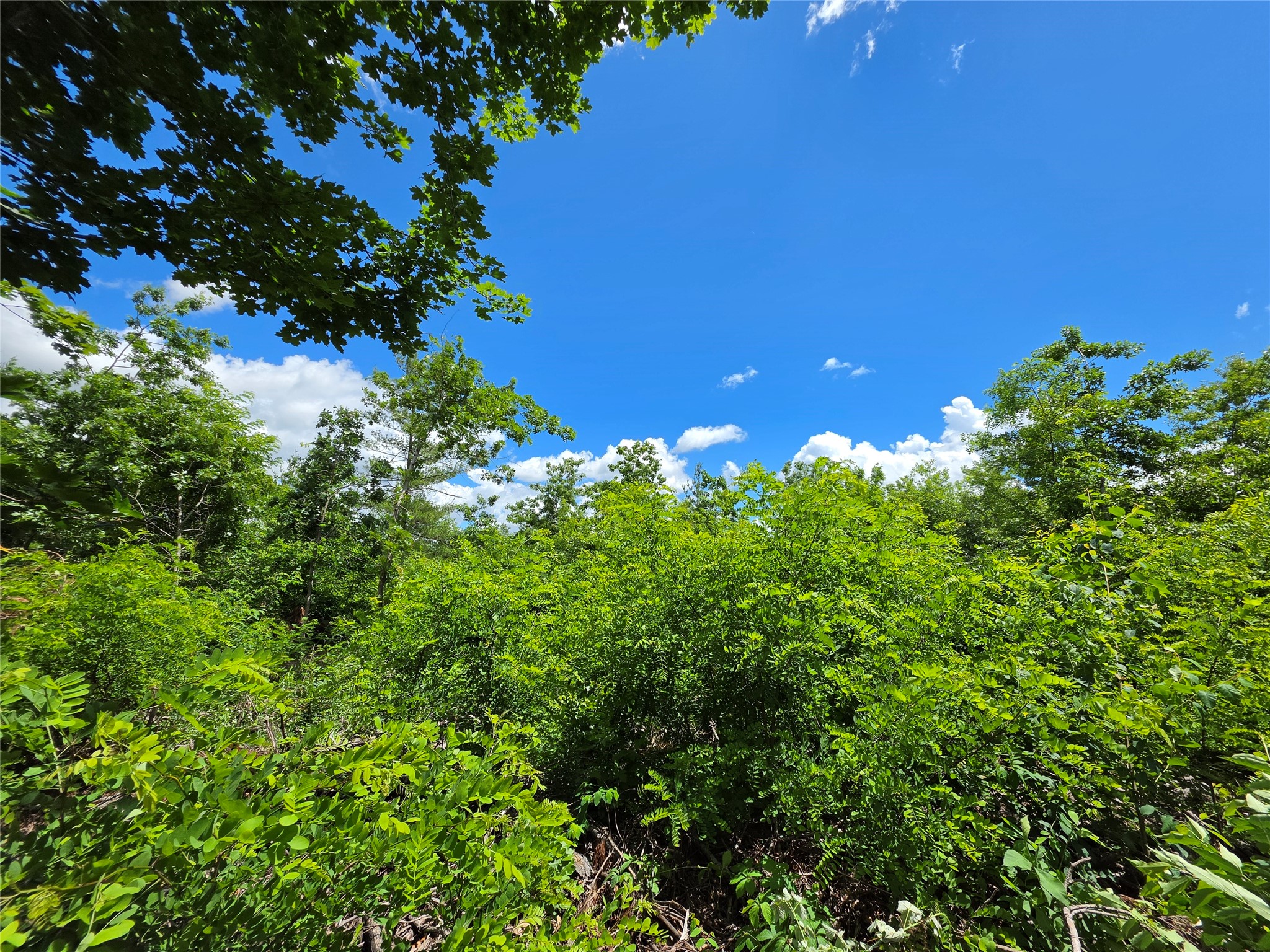 Lot 7 & 8 370th Avenue Property Photo 15
