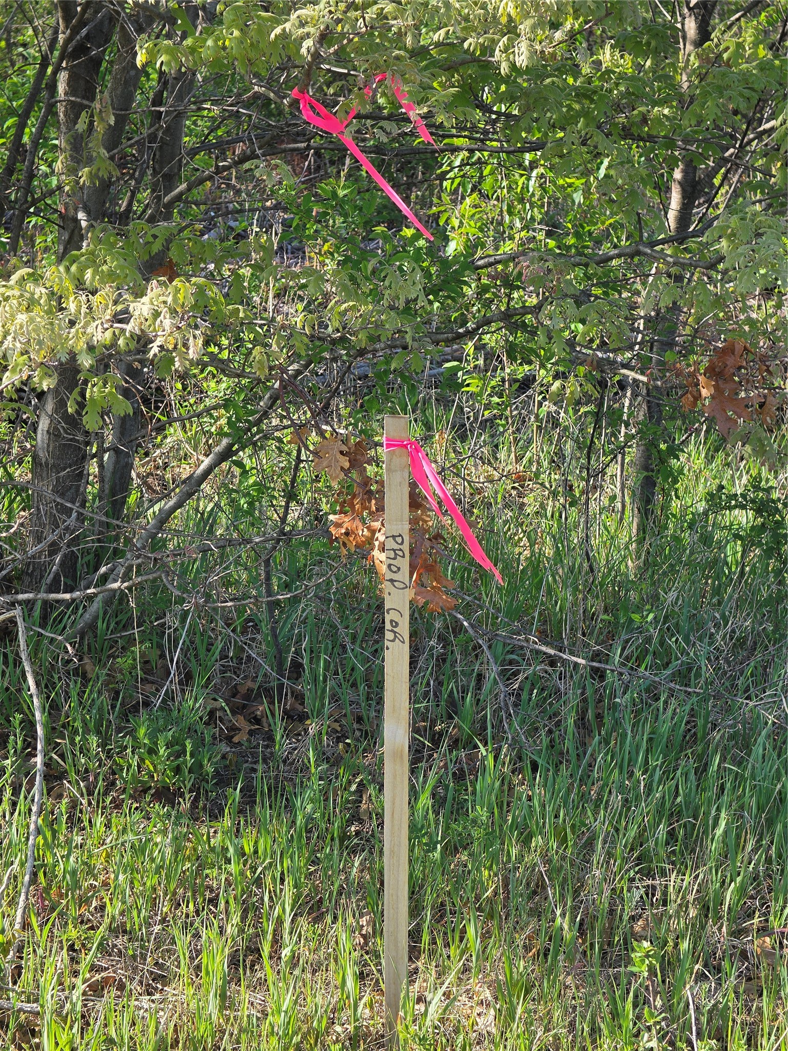 Lot 7 & 8 370th Avenue Property Photo 17