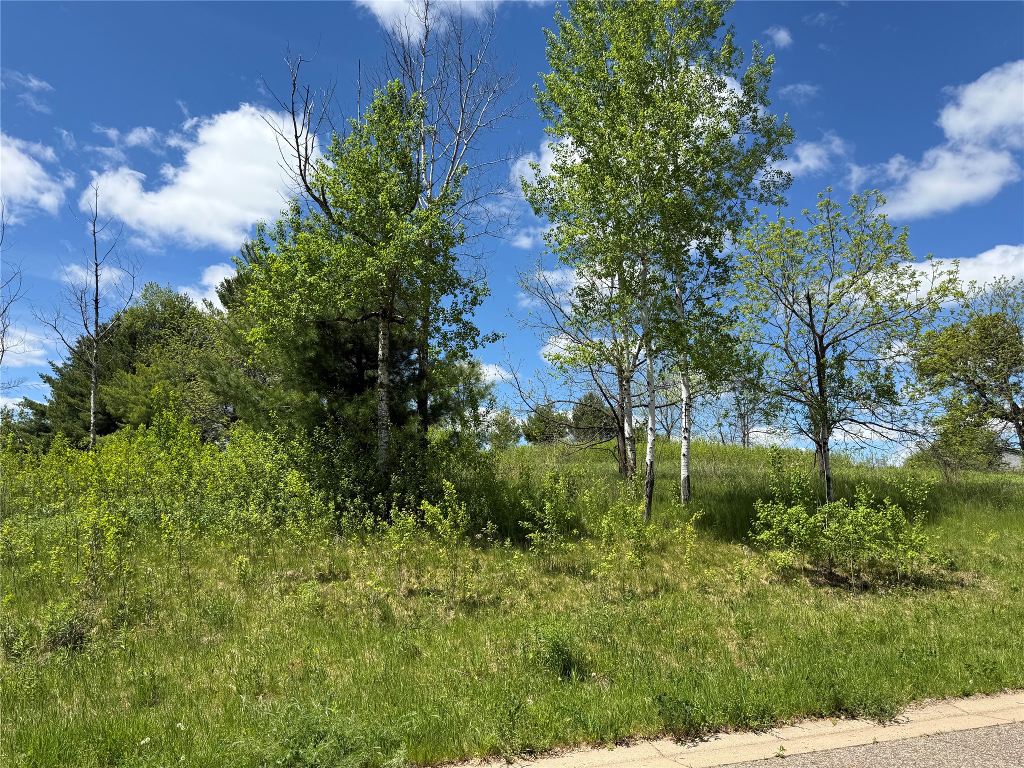 Lots 84-88 Van Buren Street Property Photo 6